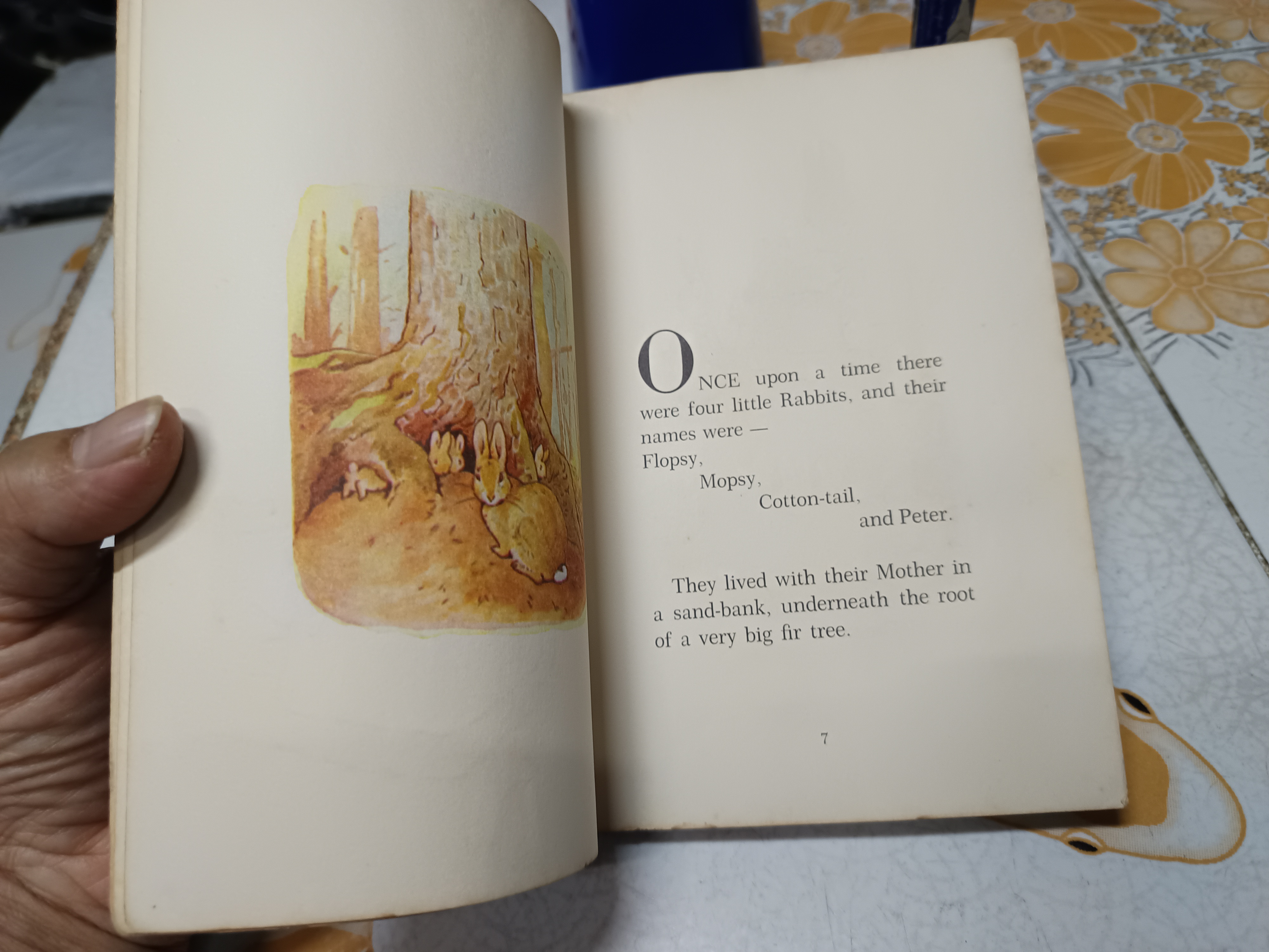 The Tale of Peter Rabbit , vintage 1980 / Starbooks By Beatrix Potter