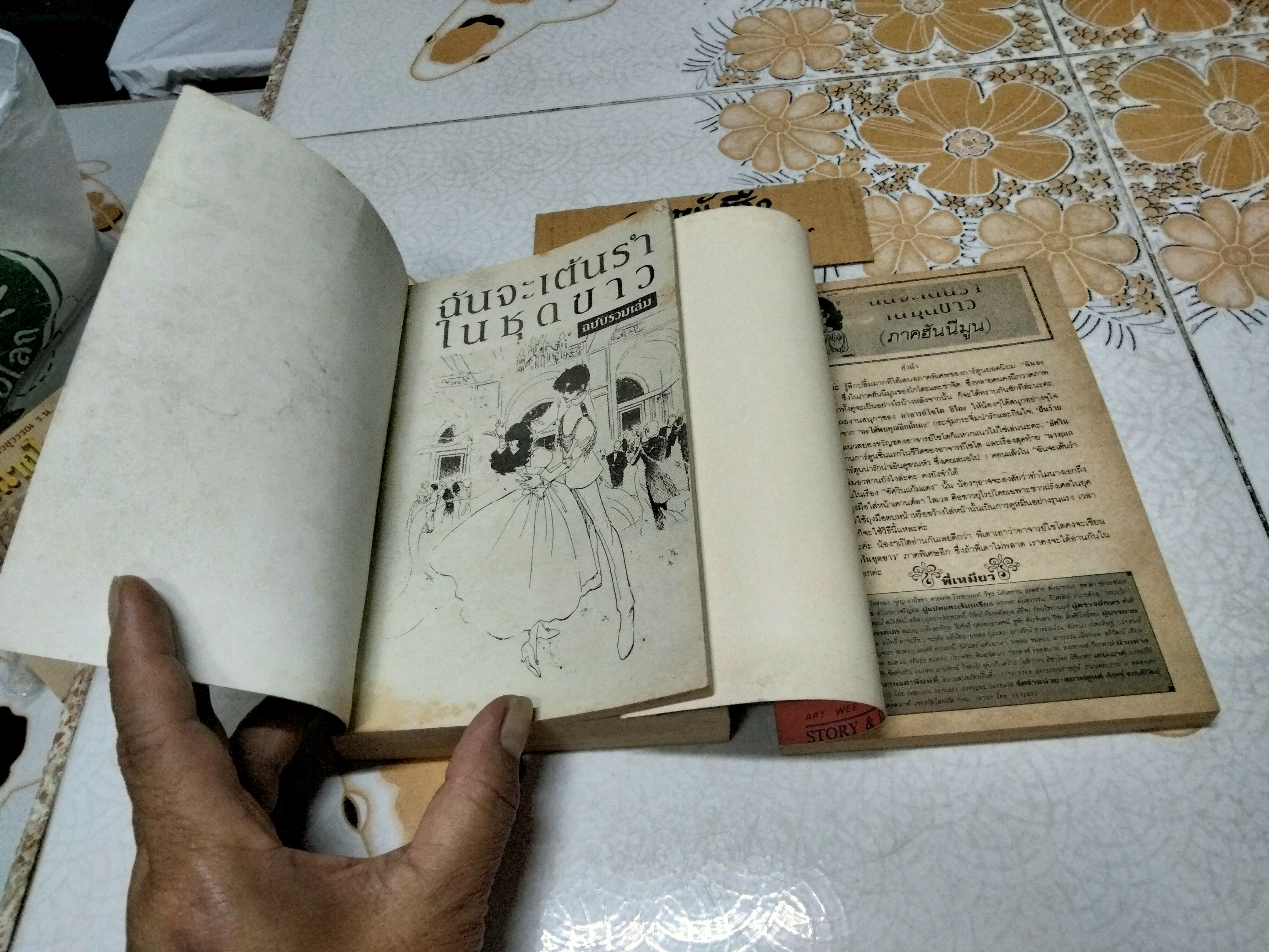 ฉันจะเต้นรำในชุดขาว (ฉบับรวมเล่ม) + ภาคพิเศษ (ภาคฮันนีมูน **สินค้าหมด**)