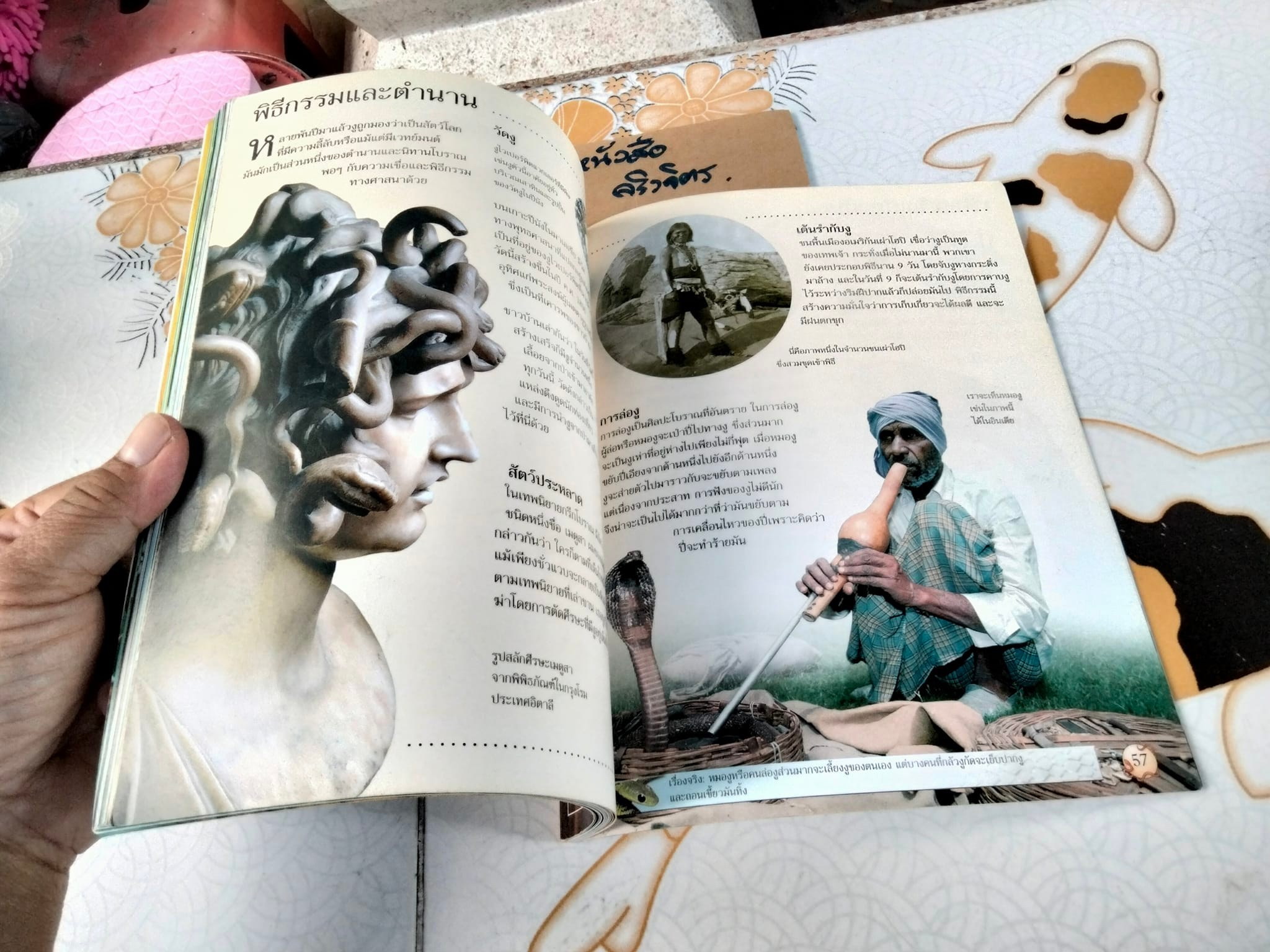 โลกของงู - Rachel Firth and Jonathan Sheikh-Miller. เขียน ,จริยา กีรติวุฒิ แปล **สินค้าหมด**