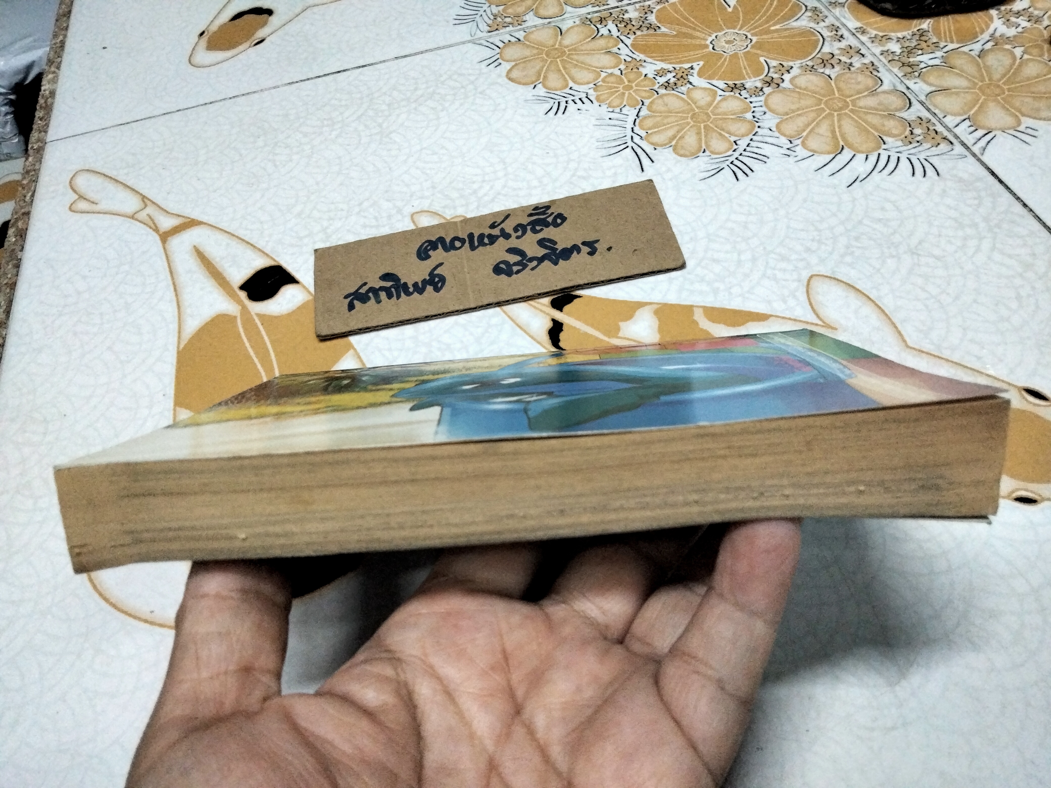 COO เสียงสะท้อนจากโลกสีคราม ( เล่มเดียวจบ) สำนักพิมพ์ SQUARE PROJECT **สินค้าหมด**