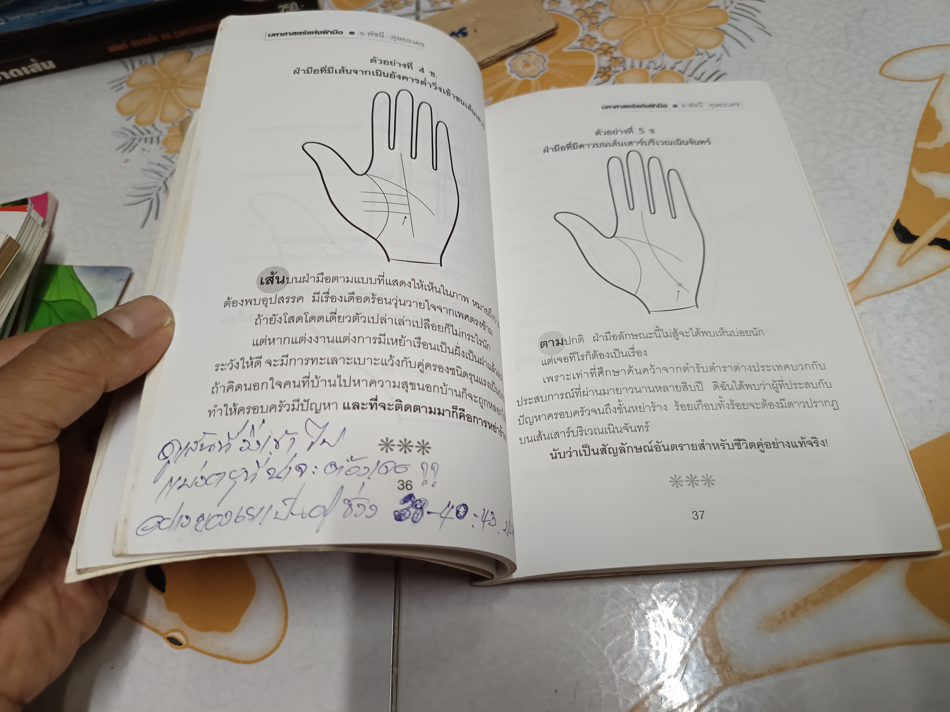 ถอดรหัสชีวิตระบบเมตริก มหาศาสตร์แห่งฝ่ามือ Palmistry Metric System โดย อ.พัชนี ตุษยะเดช โหรหญิง top 10 ด้านลายมือของเมืองไทย **สินค้าหมด**