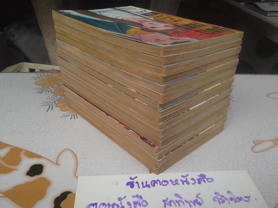 มังกรหยก ภาคลูกมังกรหยก ครบชุด 18 เล่มจบ (หนังสือการ์ตูน) **สินค้าหมด**