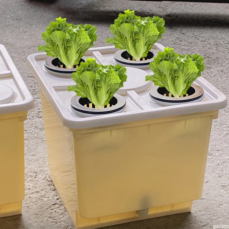 ถังปลูกไฮโดร dutch bucket 1 รูใหญ่ สีครีม