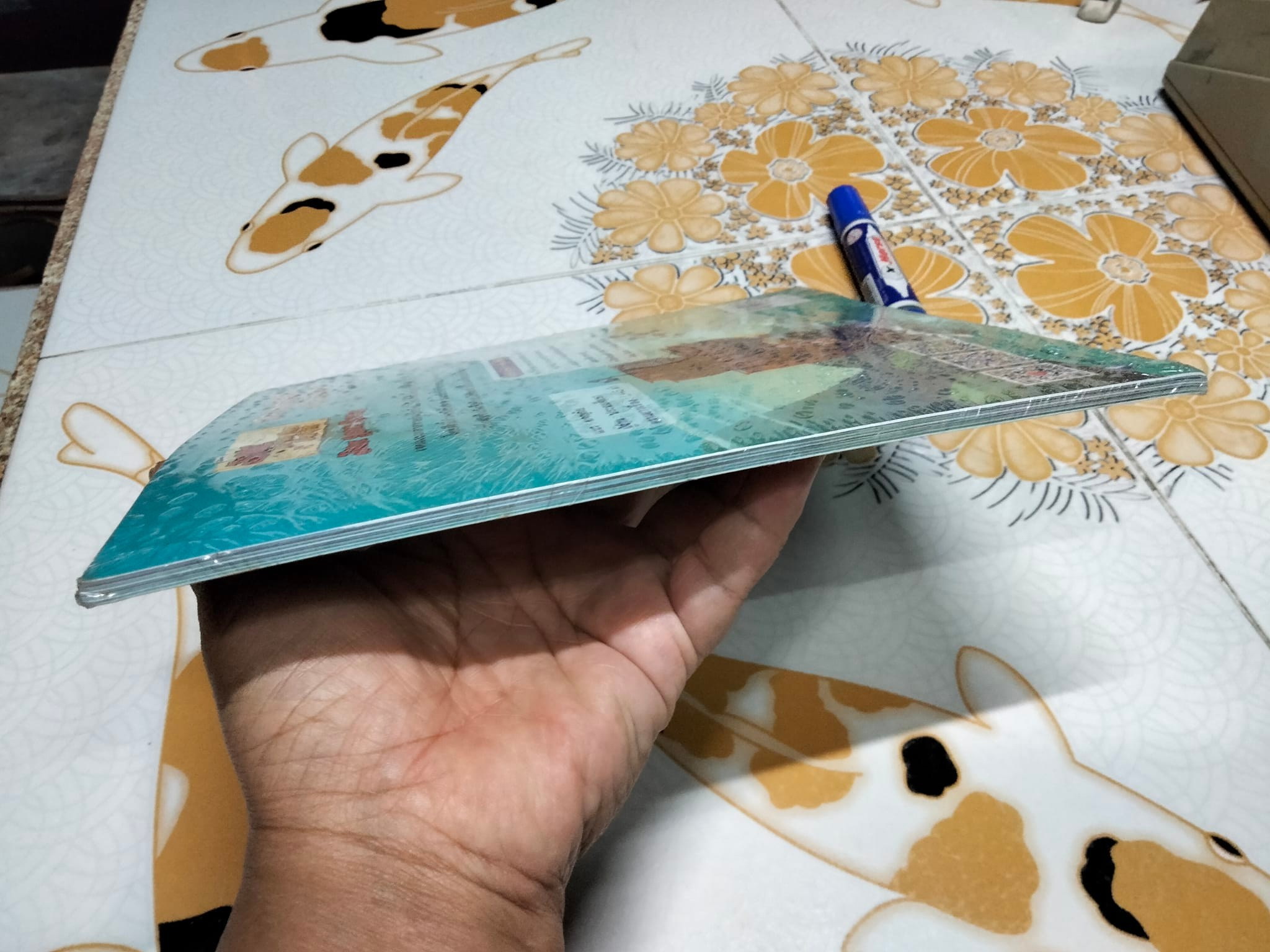 Jake Saves Bucky เจคกับสหายโจรสลัดแห่งเนเวอร์แลนด์ ตอน ศึกชิงเรือโจรสลัด + Audio CD (มือหนึ่ง ในซีล)