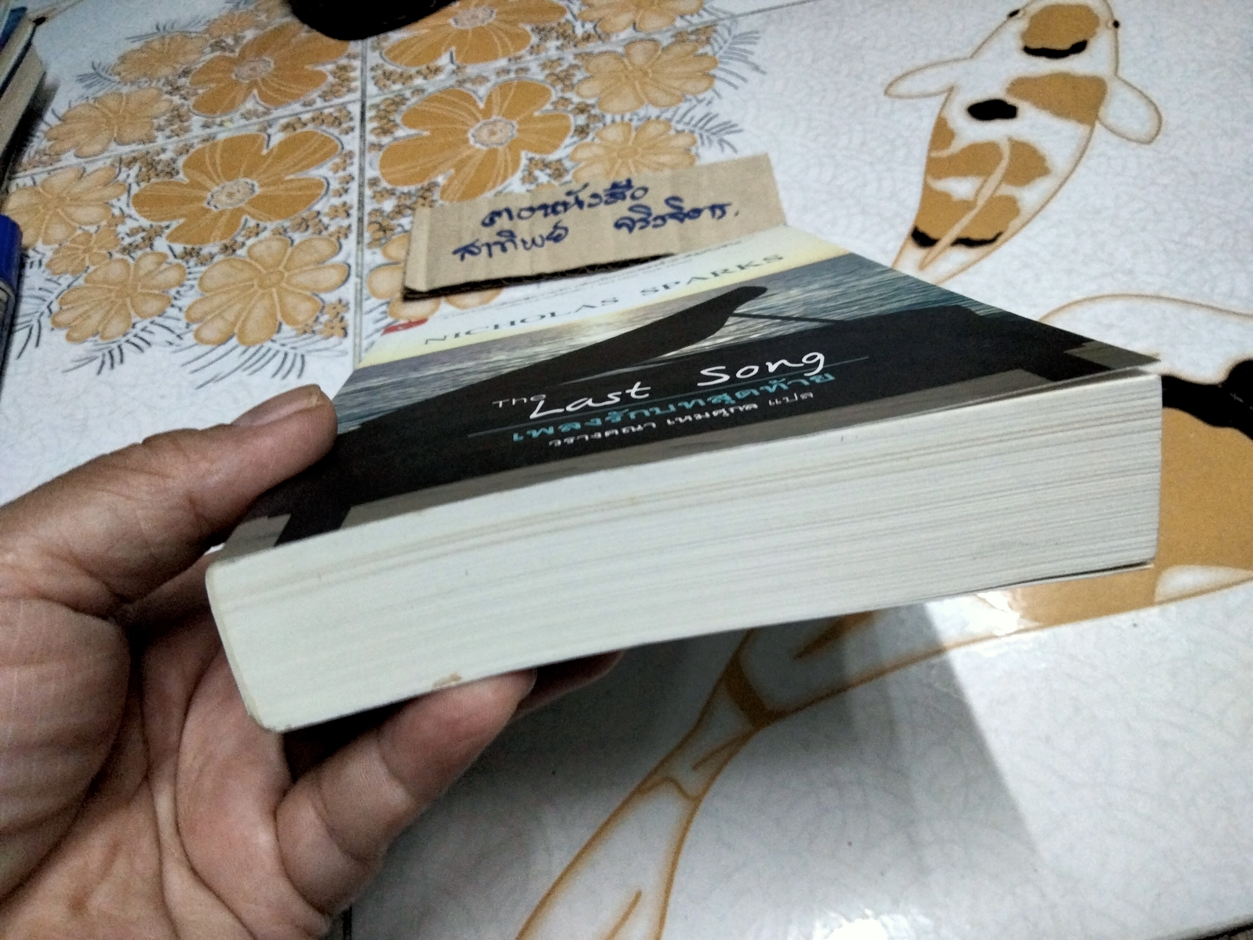 เพลงรักบทสุดท้าย The Last Song - นิโคลัส สปาร์กส์ เขียน , วรางคณา เหมศุกล แปล