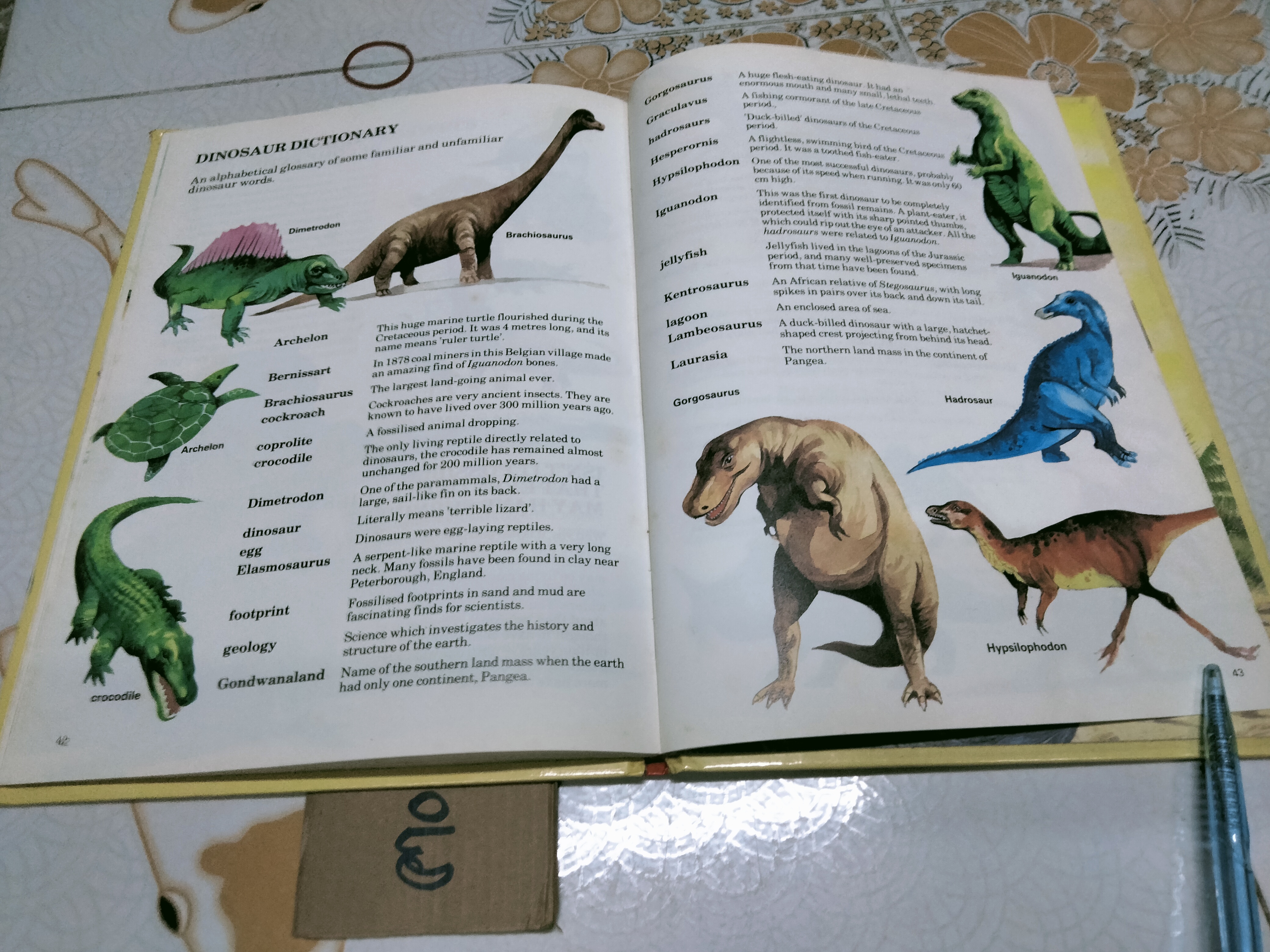 All about DINOSAURS - DERRYDALE BOOKS