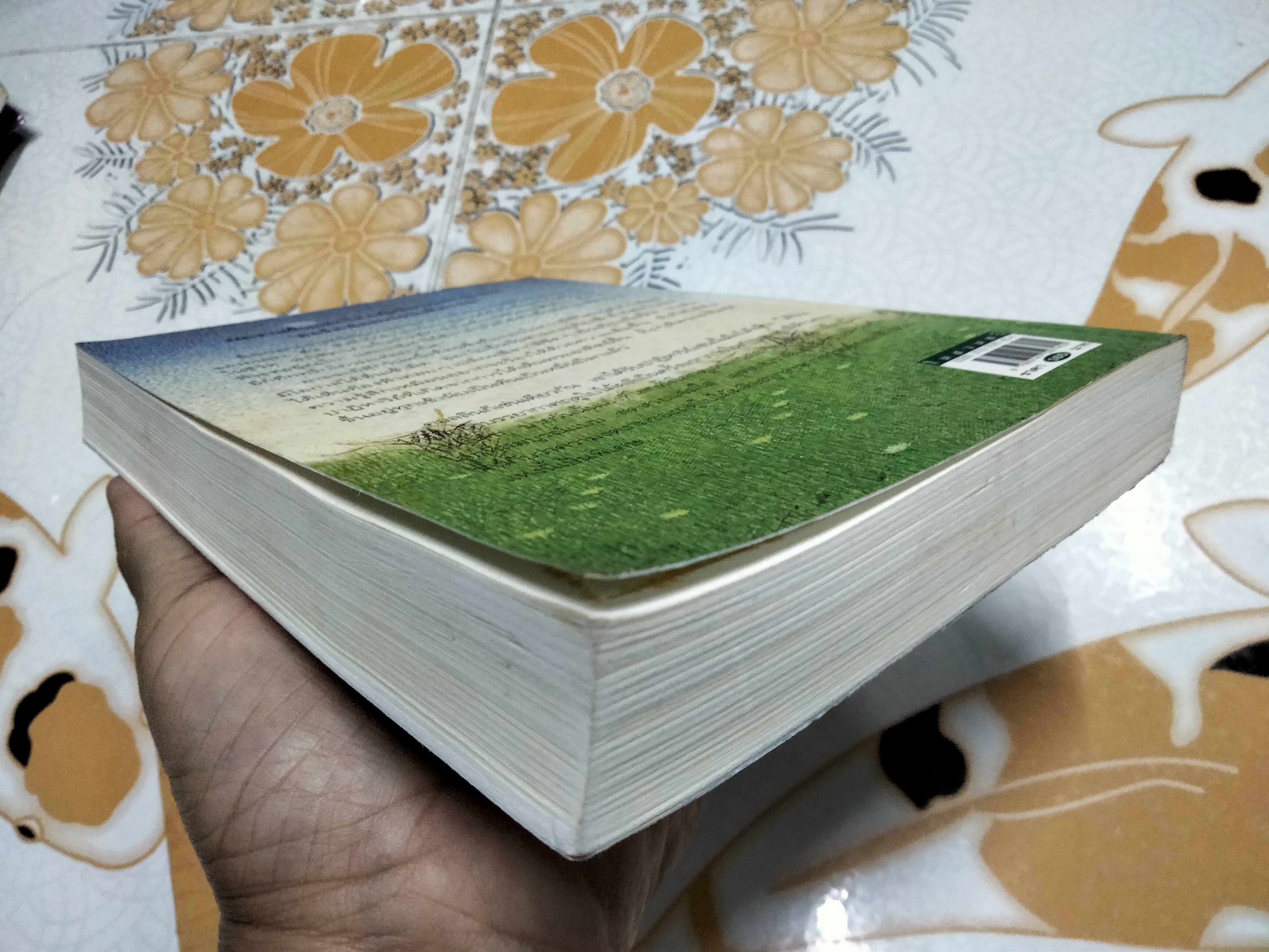 ในสวนศรี (The Secret Garden) ฟรานเซส ฮอดจ์สัน เบอร์เน็ตต์ เขียน , เนื่องน้อย ศรัทธา แปล **สินค้าหมด**