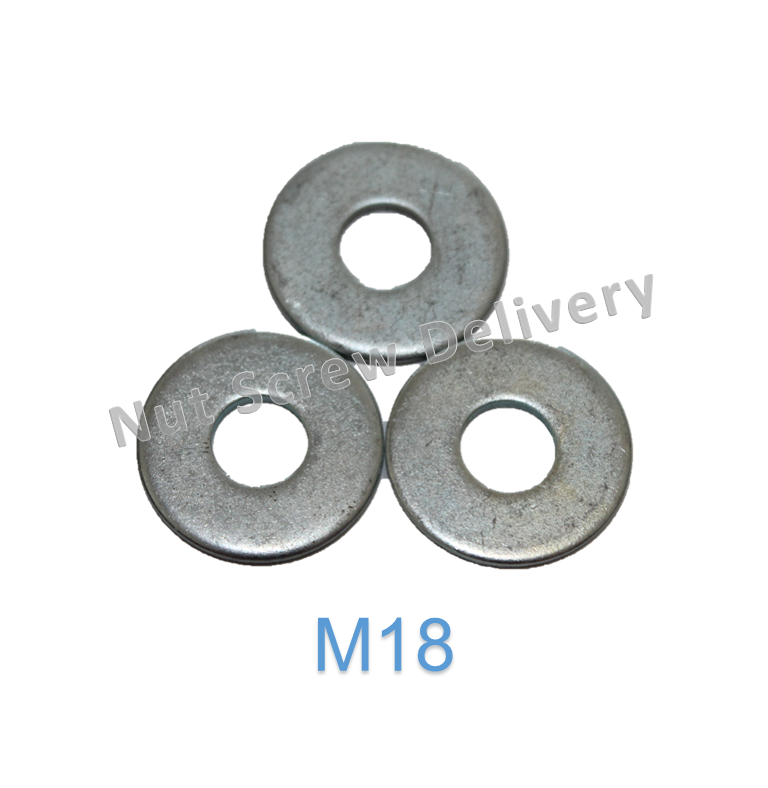 แหวนอีแปะมิลขาว M18