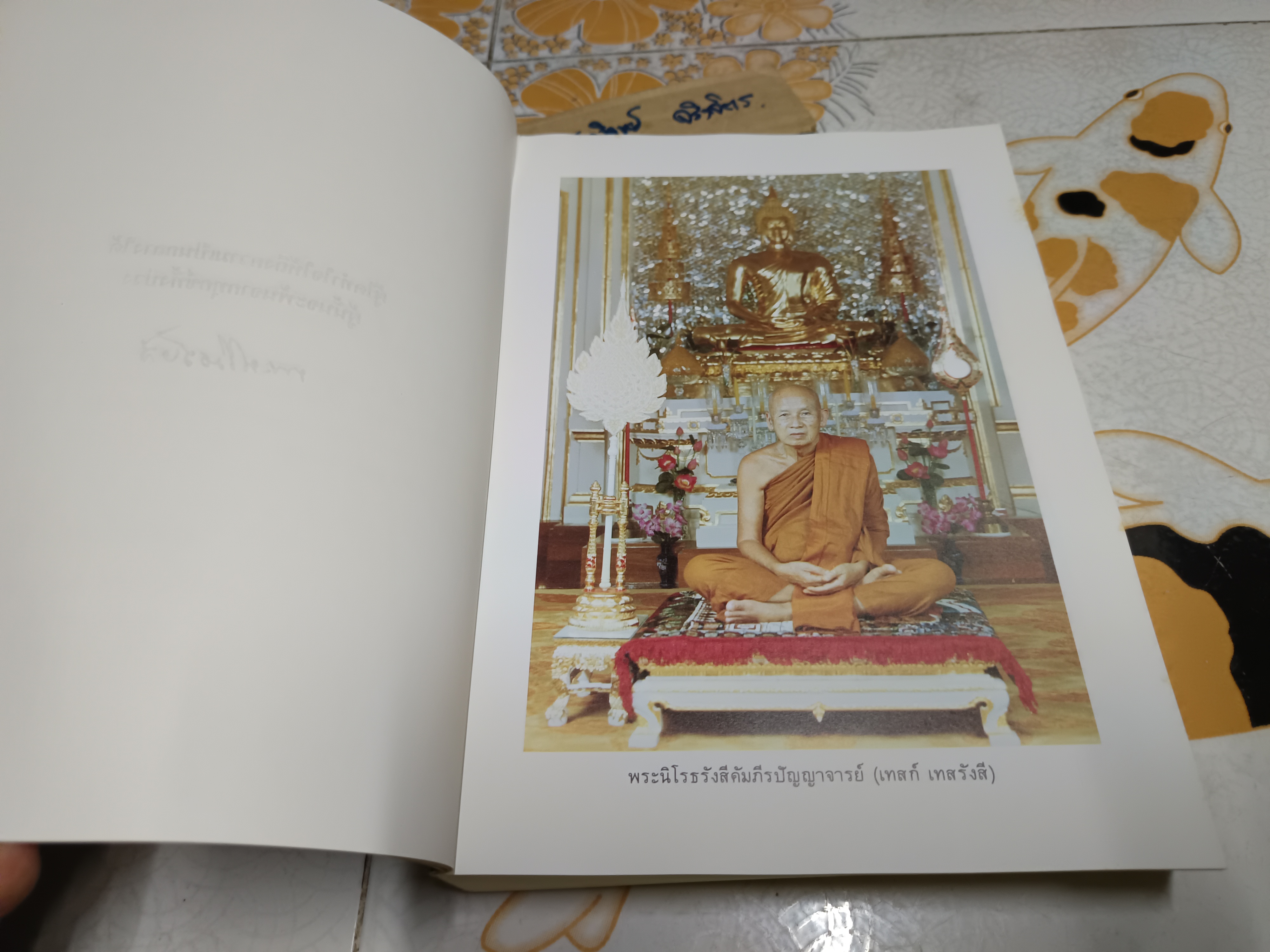 ประมวลแนวปฏิบัติธรรม และ ปุจฉาวิสัชนาในประเทศ / พระนิโรธรังสีคัมภีรปัญญาจารย์ (เทสก์ เทสรังสี) **สินค้าหมด**