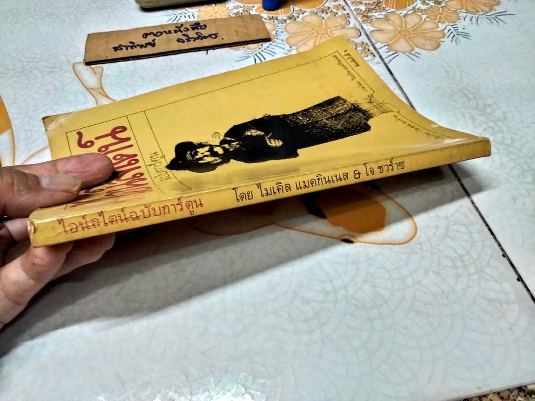 ไอน์สไตน์ฉบับการ์ตูน (Einstein For Beginners) ผลงานของ โจเซฟ ชวร์าซ วาดภาพโดย ไมเคิล แมคกินเนส