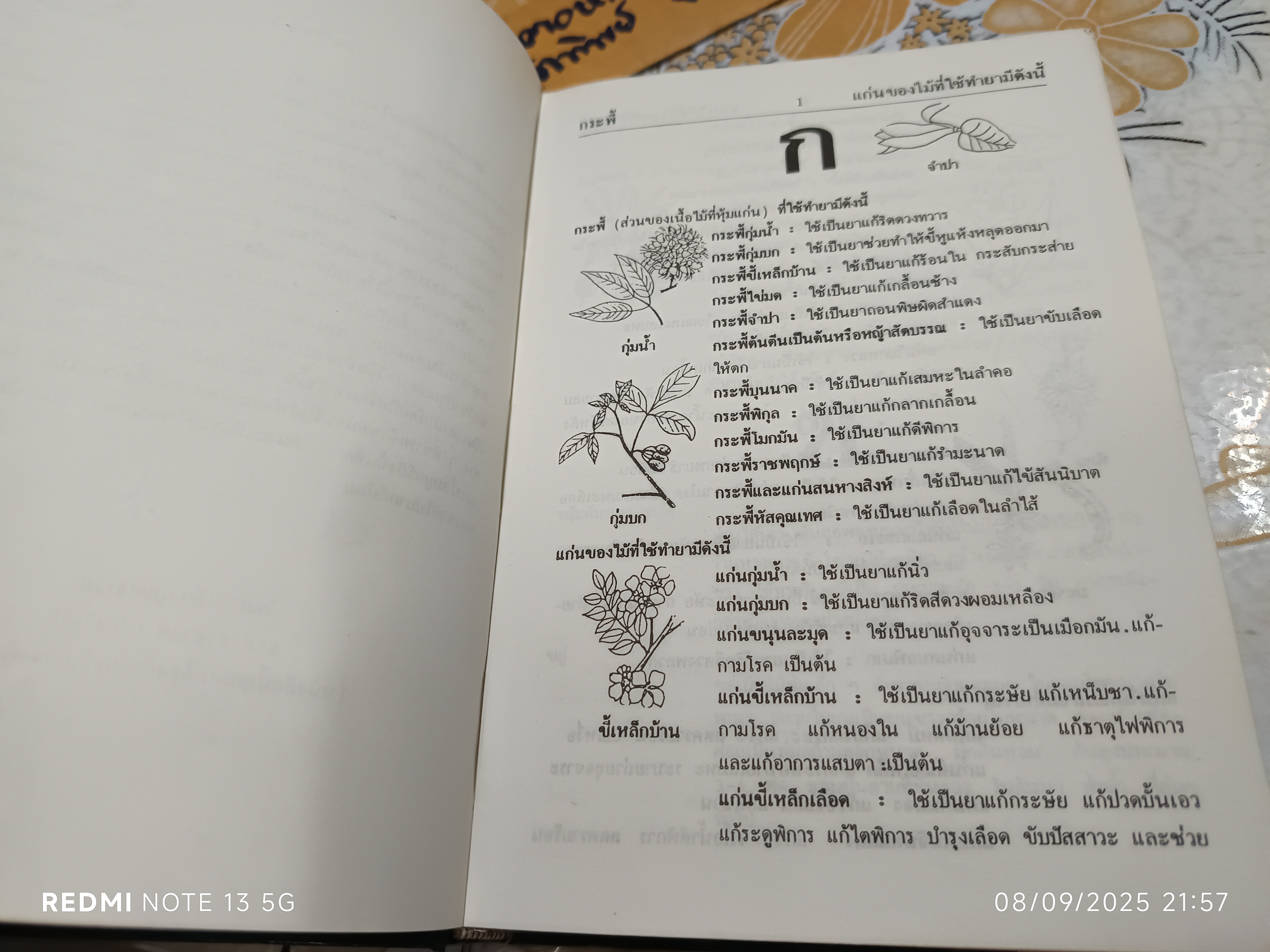 พจนานุกรม สมุนไพรไทย (ฉบับสรรพคุณยาไทย) โดย ดร.วิทย์ เที่ยงบูรณธรรม ฉบับพิมพ์ครั้งแรกพ.ศ 2532 สำนักพิมพ์รวมสาส์น