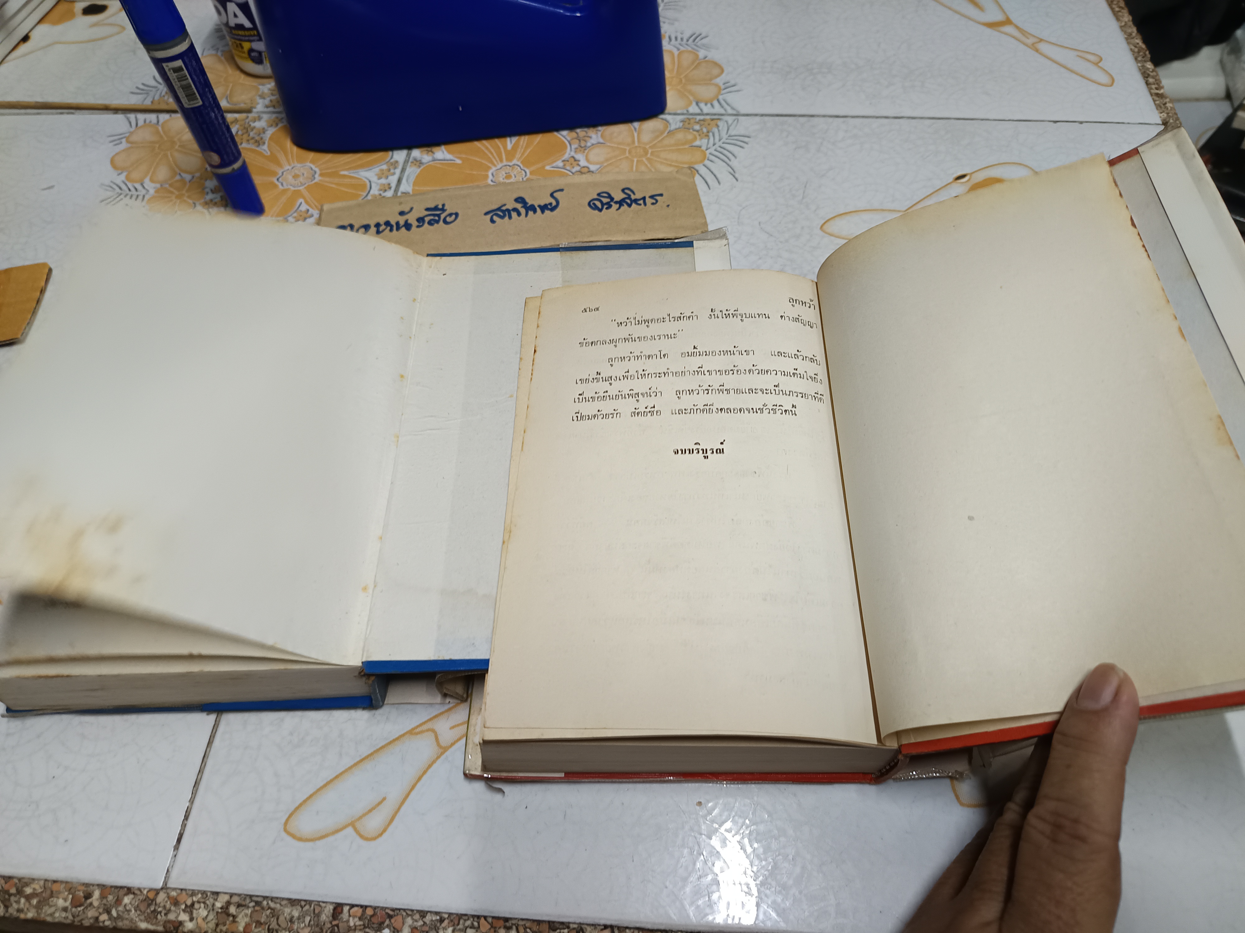 ลูกหว้า (2 เล่มจบ) ช่อลัดา