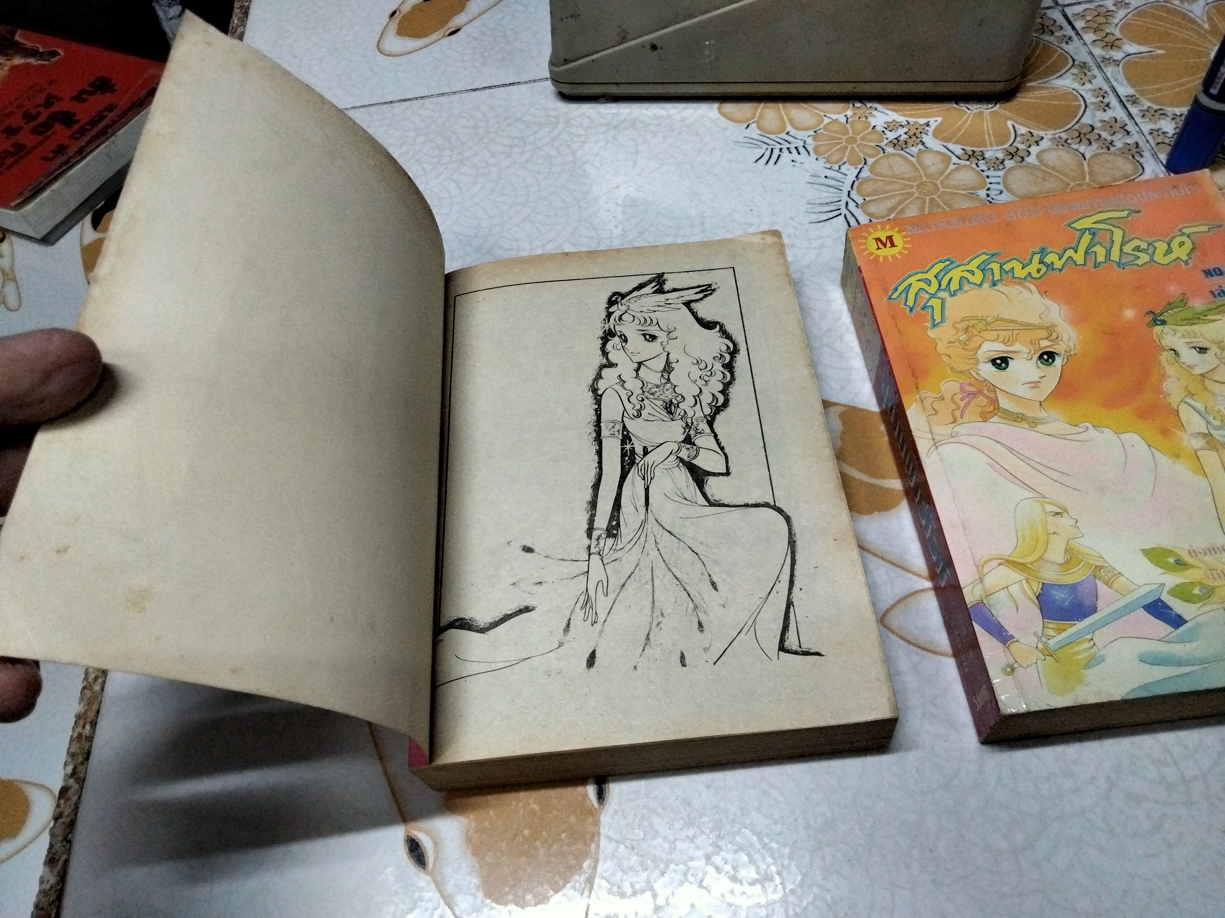 สุสานฟาโรห์ 2 เล่มจบ ผลงาน ทาเคมิยะ เคโกะ ฉบับรวมเล่ม 2 เล่มหนา สนพ.มอร์นิ่งซัน