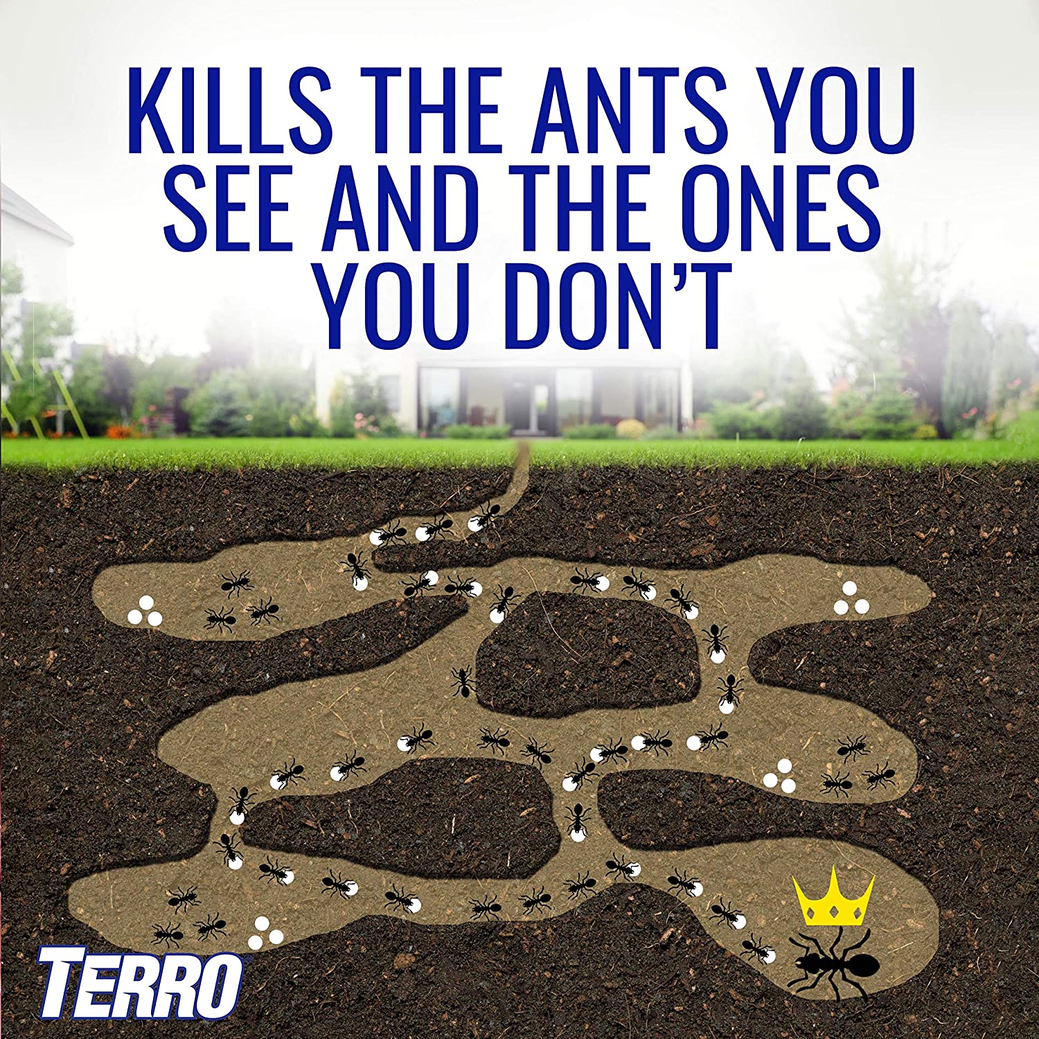 TERRO® T1806-6 Outdoor Liquid Ant Baits 6 Bait Stations ผลิตภัณฑ์กำจัดมด