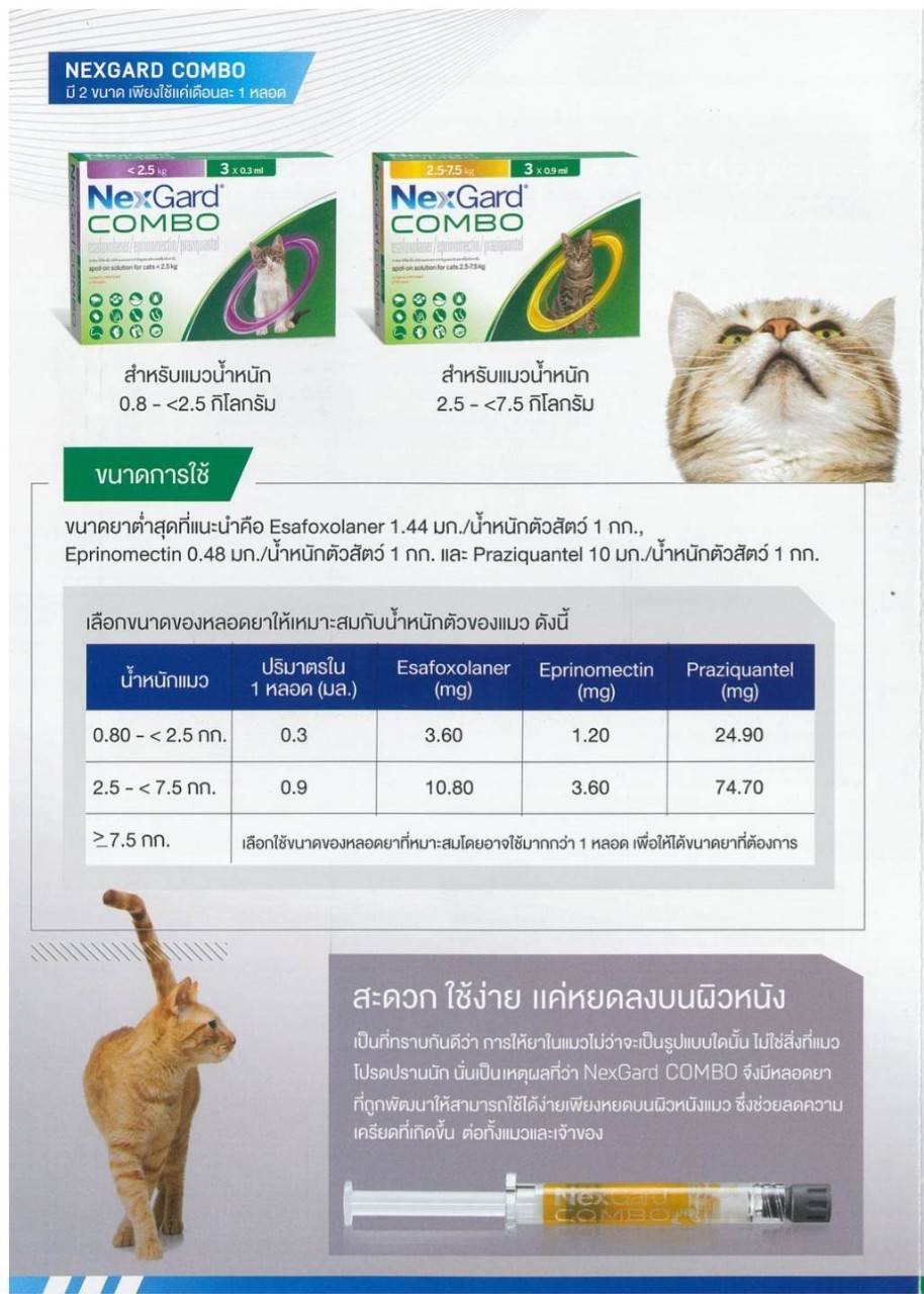 Nexgard Combo ยาเห็บหมัด หยอดหลังสำหรับแมว ป้องกันปรสิตได้อย่างครอบคลุม 25 ชนิด