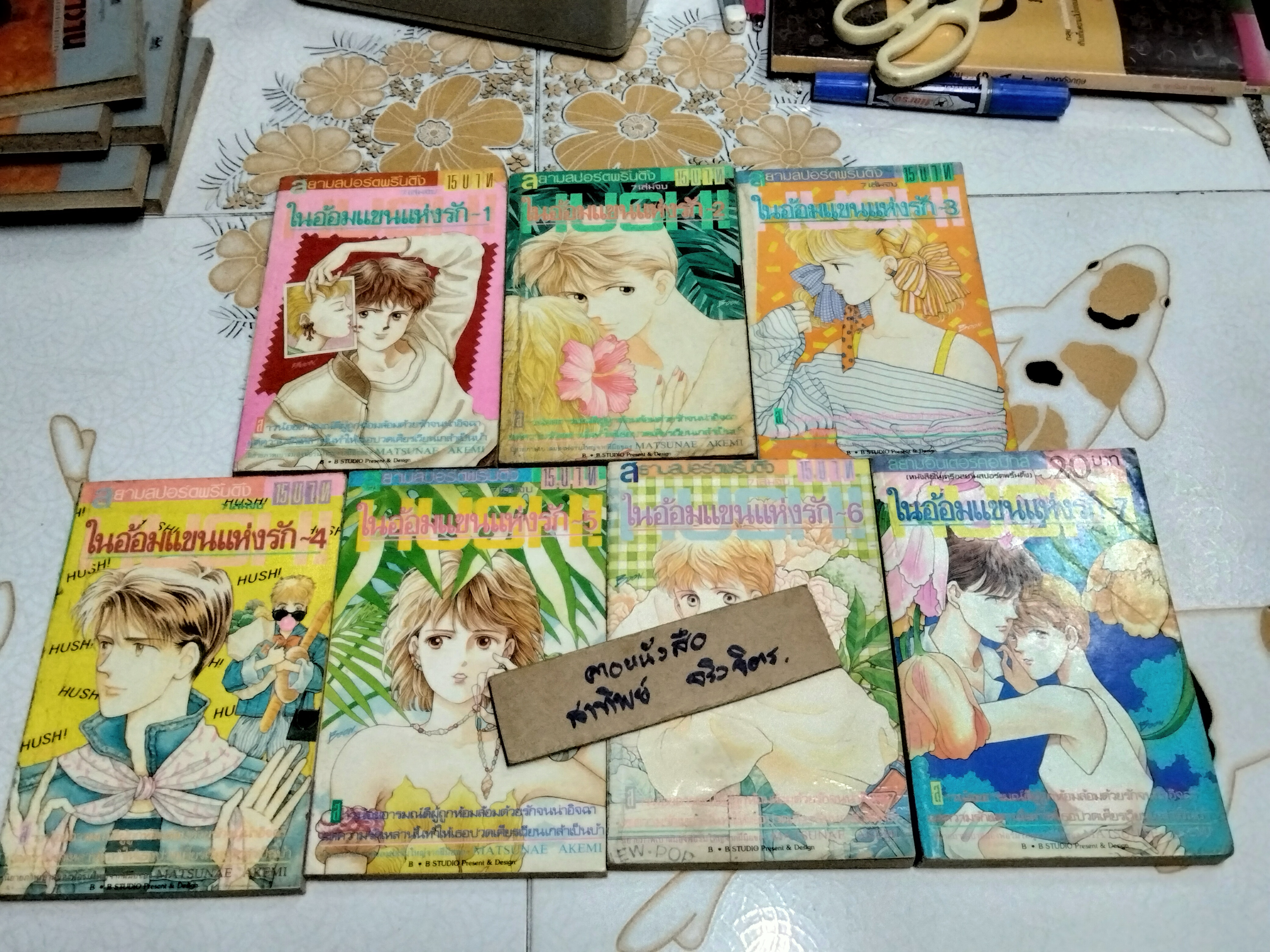 ในอ้อมแขนแห่งรัก (7 เล่มจบ) Matsunae Akemi สำนักพิมพ์ สยามอินเตอร์คอมิกส์