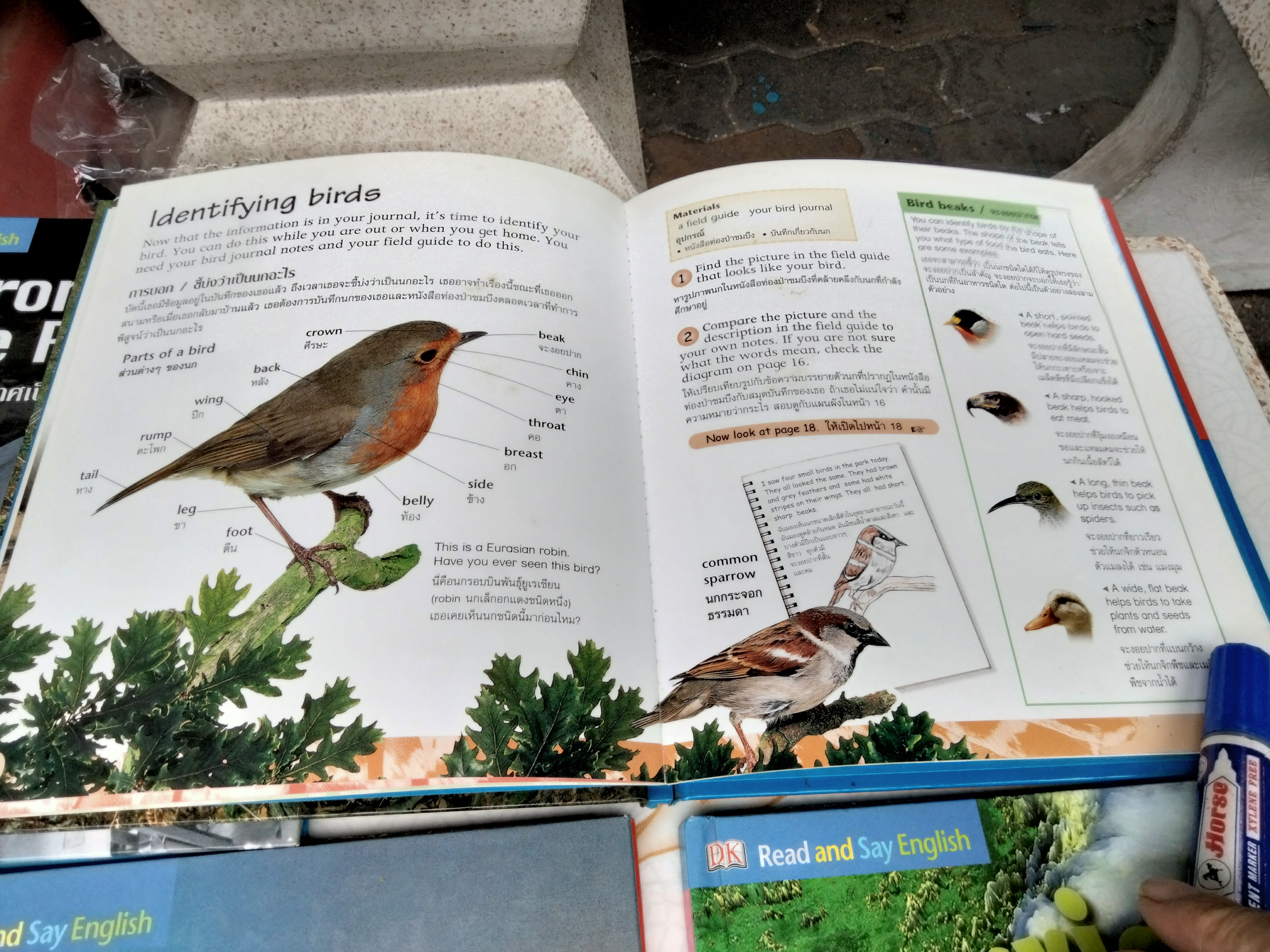 หนังสือชุด Read and Say English - Level 6 (2 ภาษา ไทย-อังกฤษ) แปลและเรียบเรียง โดยหม่อมดุษฎี บริพัตร ณ อยุธยา - ขายรวม 12 เล่ม