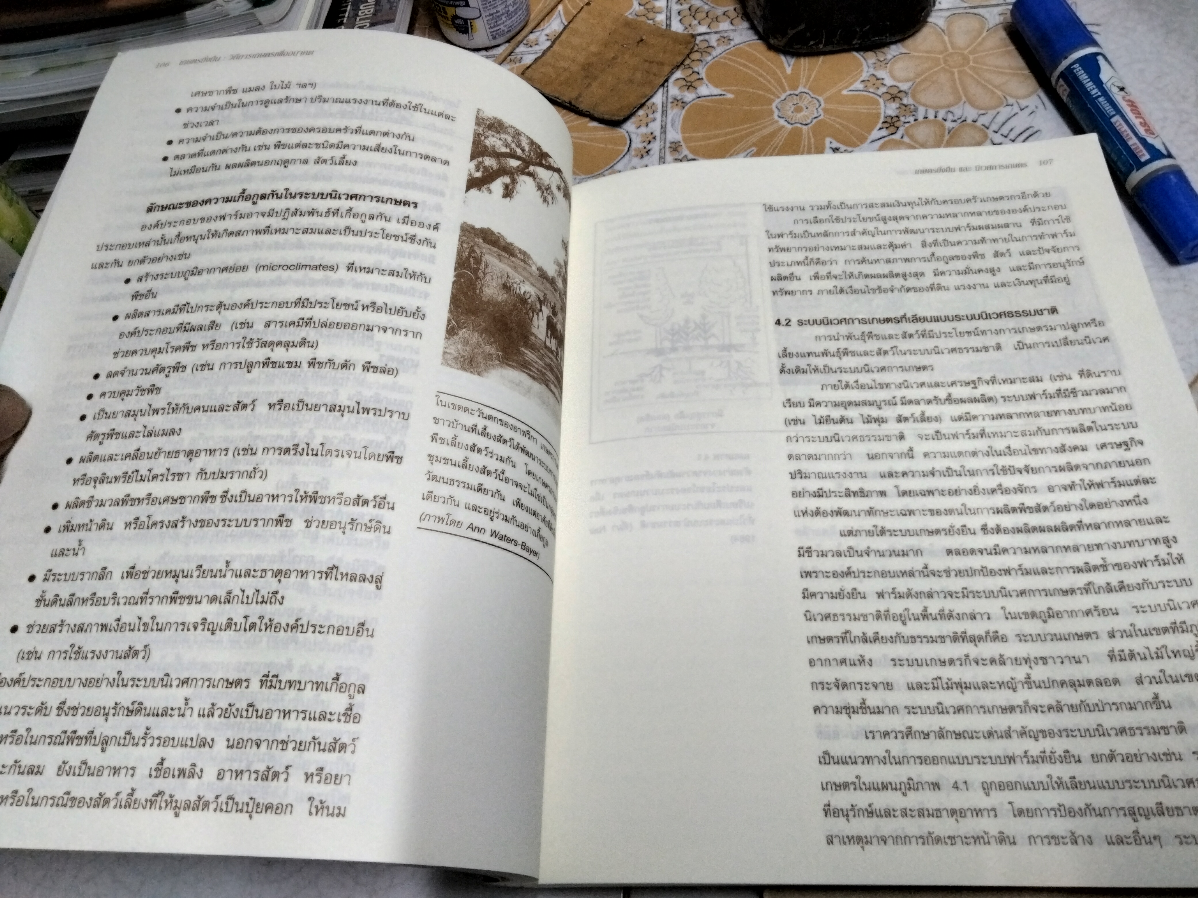 เกษตรยั่งยืน วิถีการเกษตรเพื่ออนาคต วิฑูรย์ ปัญญากุล แปลและเรียบเรียงจากหนังสือ Farming For the Future. มูลนิธิสายใยแผ่นดิน