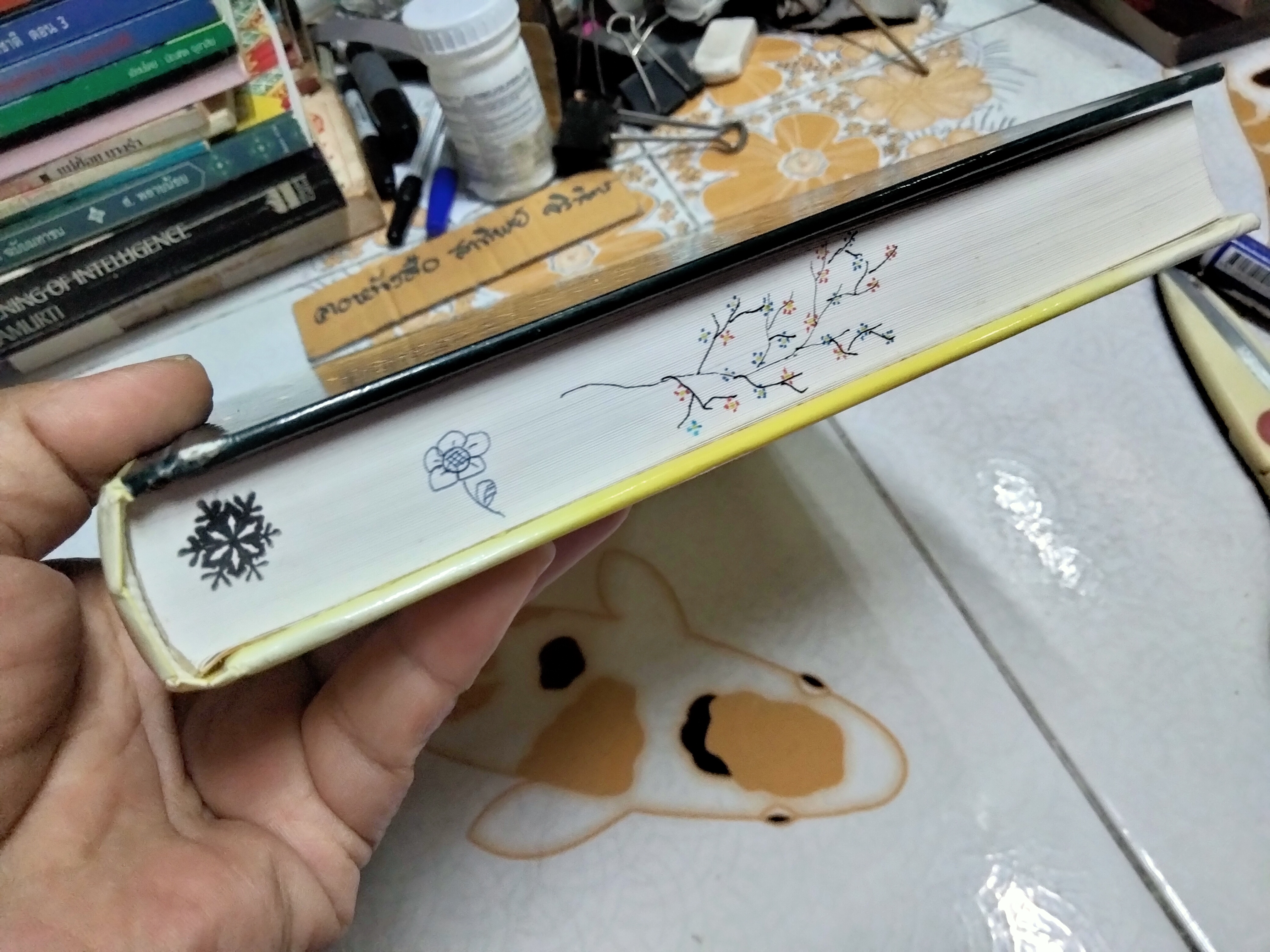 Assessment for Effective Teaching: Using Context-Adaptive Planning - Hanna, Gerald S., Dettmer, Peggy Pearson Education, 2004