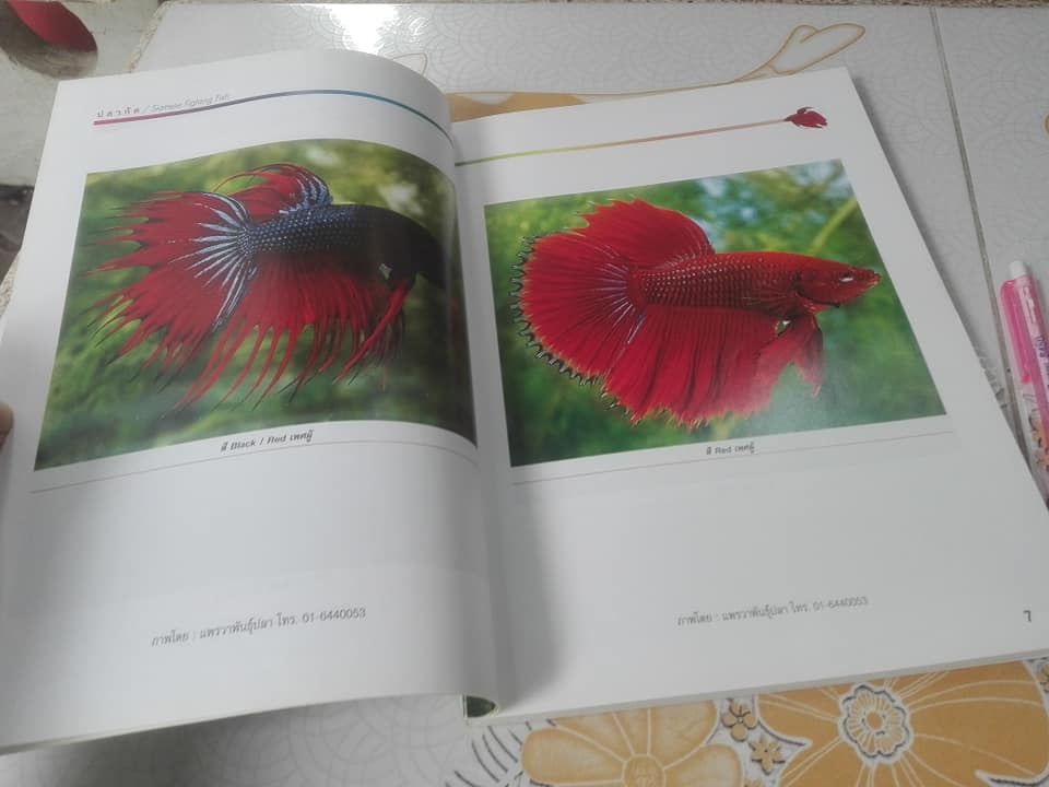 คู่มือการเพาะเลี้ยงและการคัดสายพันธุ์ ปลากัด ฉบับสมบูรณ์ เรียบเรียงโดย ธนากร ฤทธิ์ไธสง