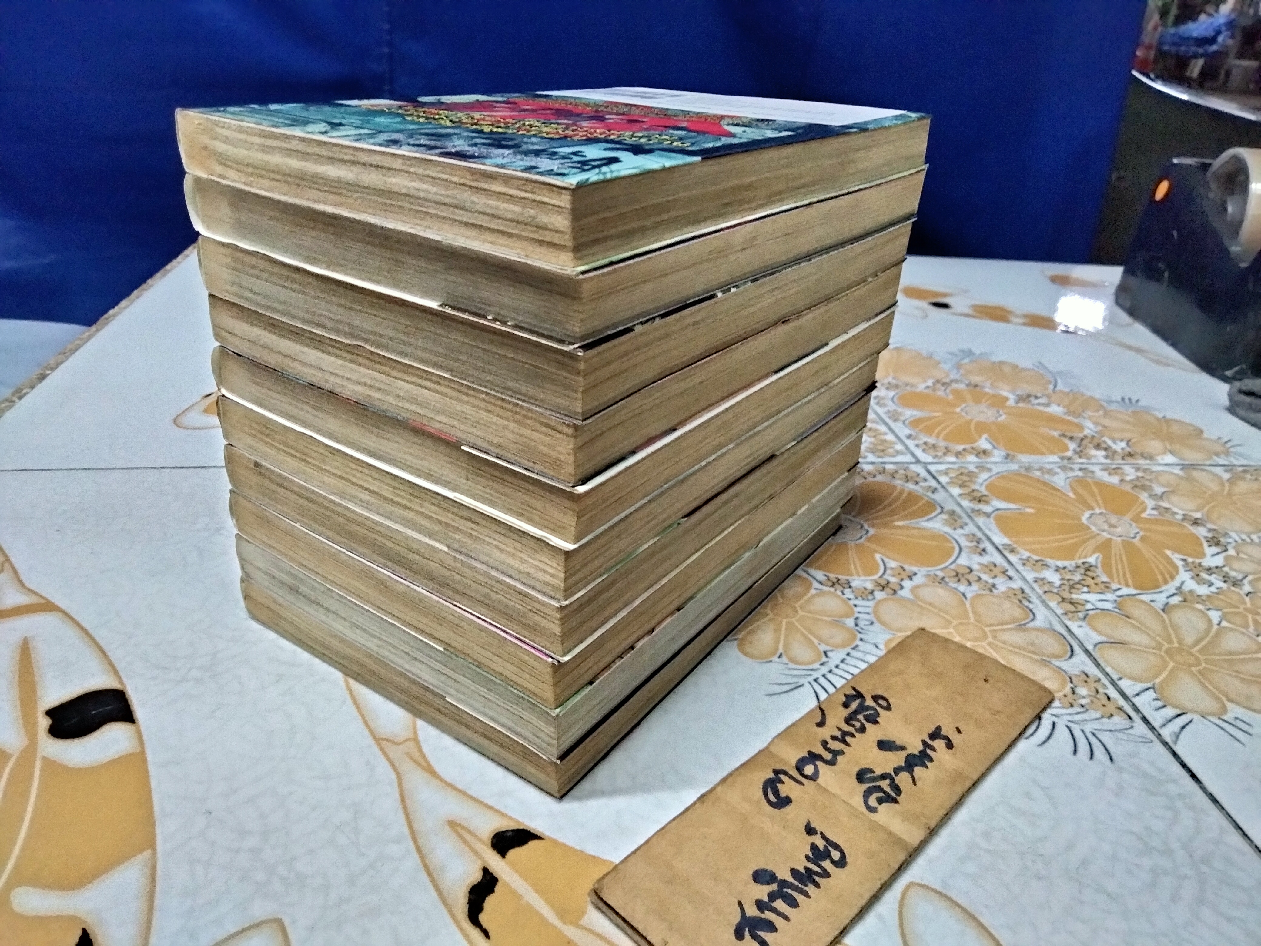 วัยรุ่นเต็มพิกัด (ครบชุด 1-10) โดย HIROMASA OKUSHIMA