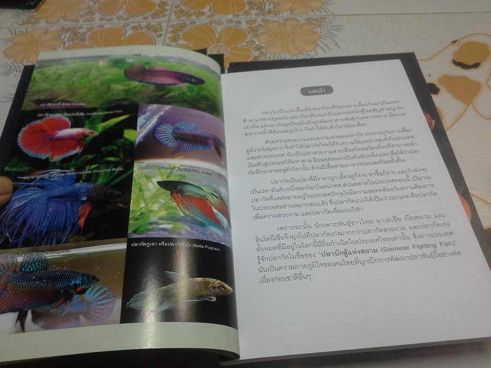 คู่มือเลี้ยงปลากัด ฉบับสมบูรณ์ **สินค้าหมด**