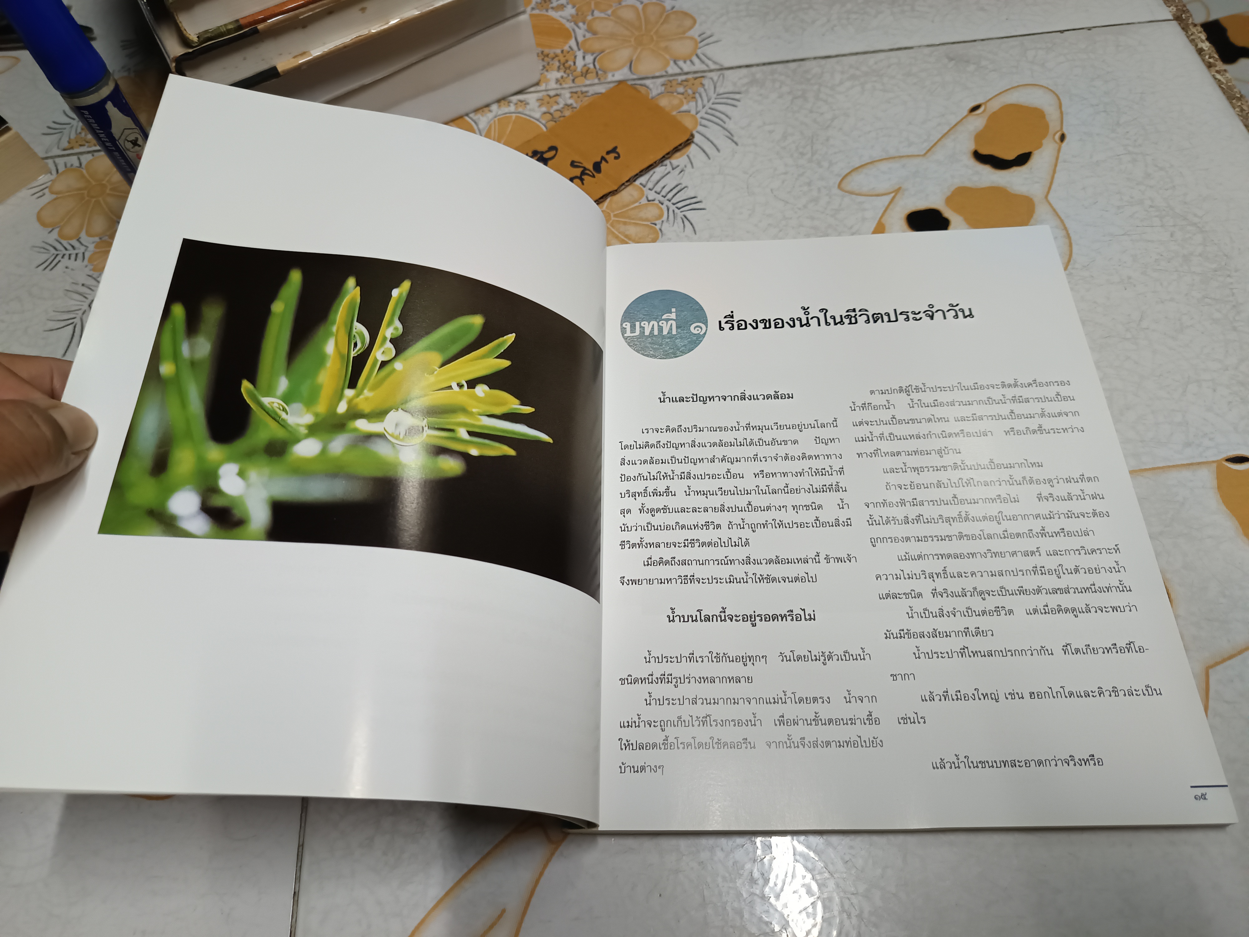 สาส์นจากวารี Messages from Water มาซารุ เอโมโตะ เขียน ศศิธร- ศศิวิมล รัชนี แปล