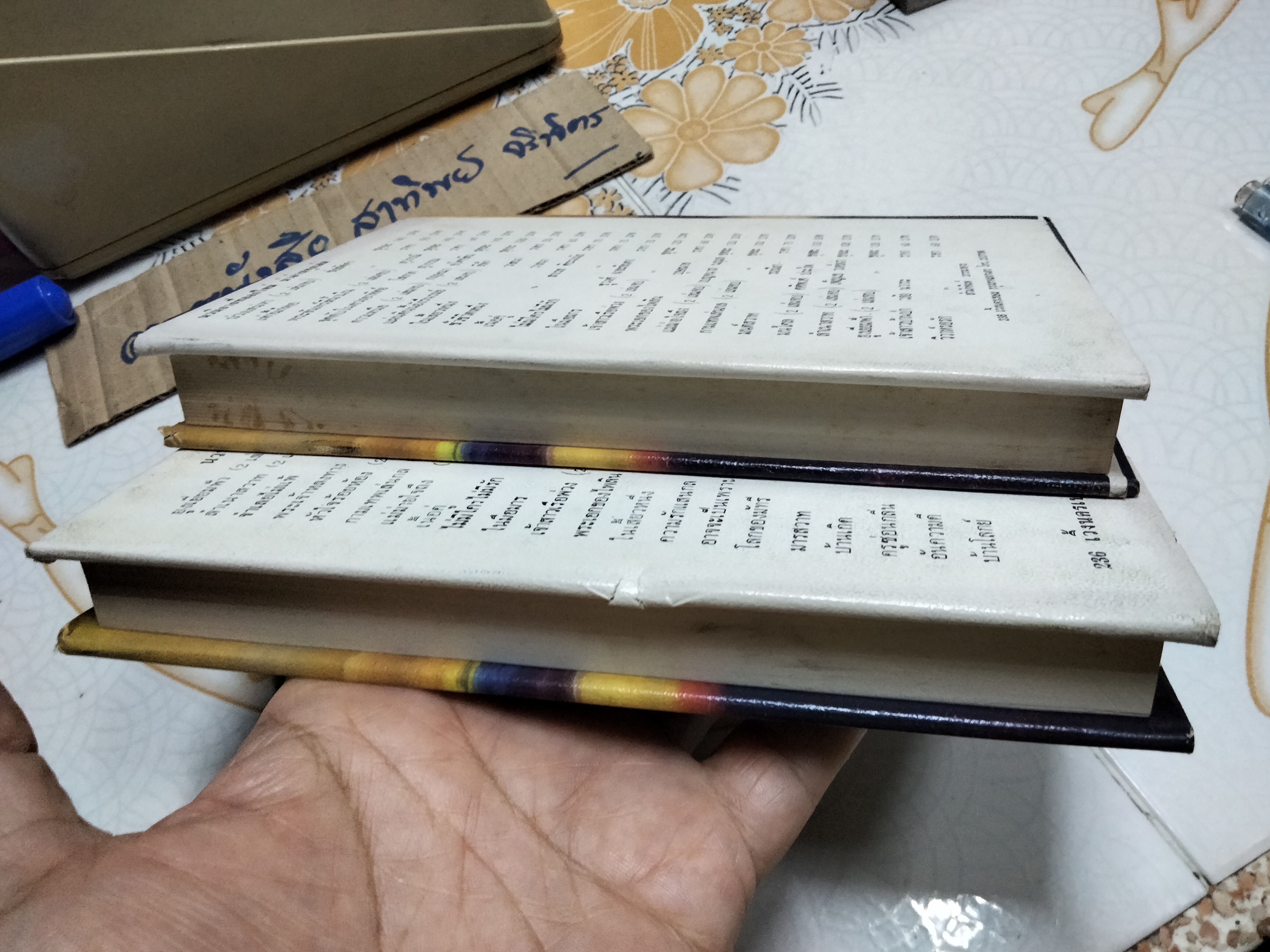 แผ่นดินนี้ยังรื่นรมย์ (2 เล่มจบ) - สีฟ้า **สินค้าหมด**