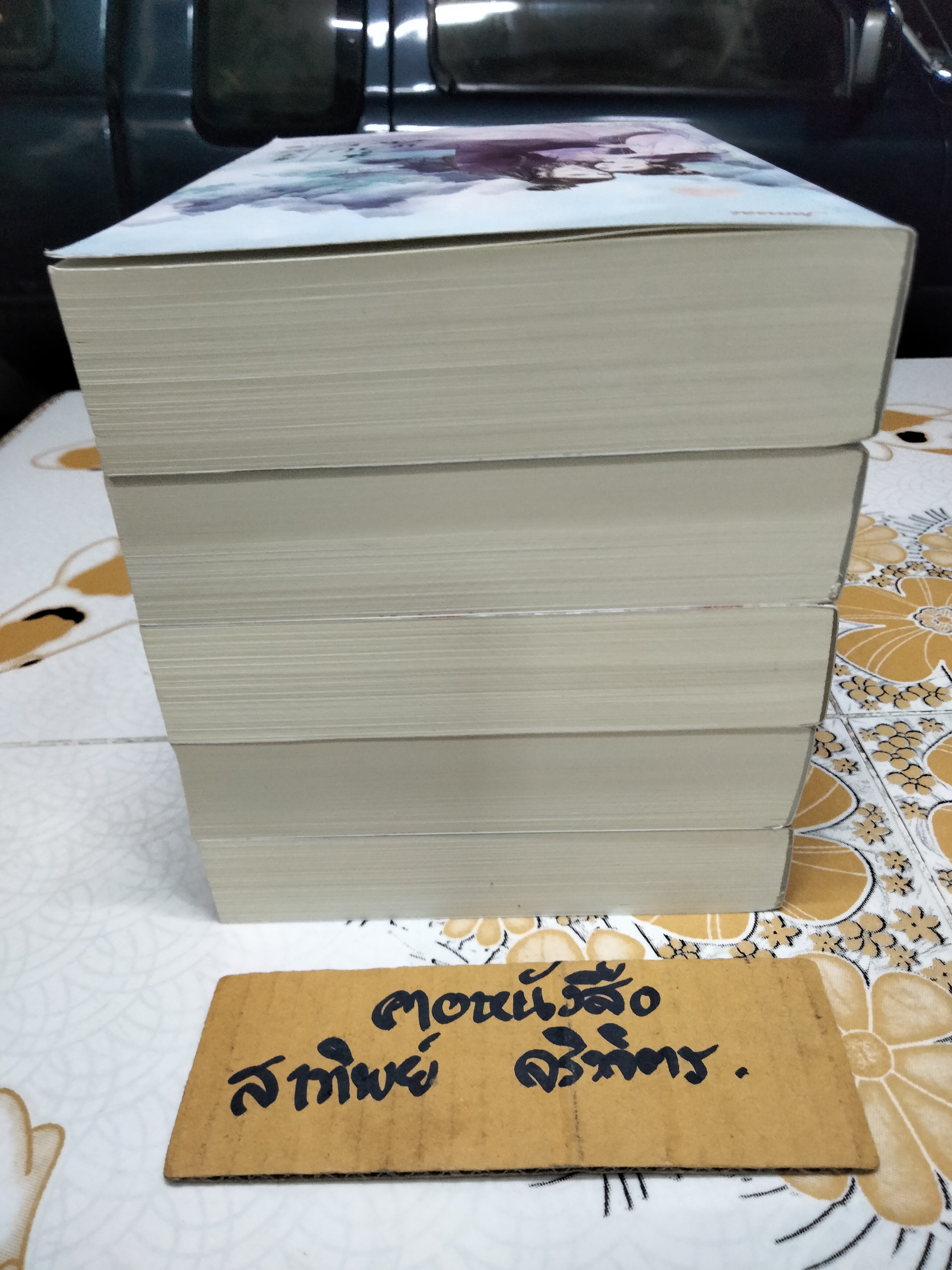 ฉู่หวังเฟย ชายาสองวิญญาณ (5 เล่มจบ) โดย หนิงเอ๋อร์ - เฉินซี แปล ** มีที่คั่นหนังสือทุกเล่ม