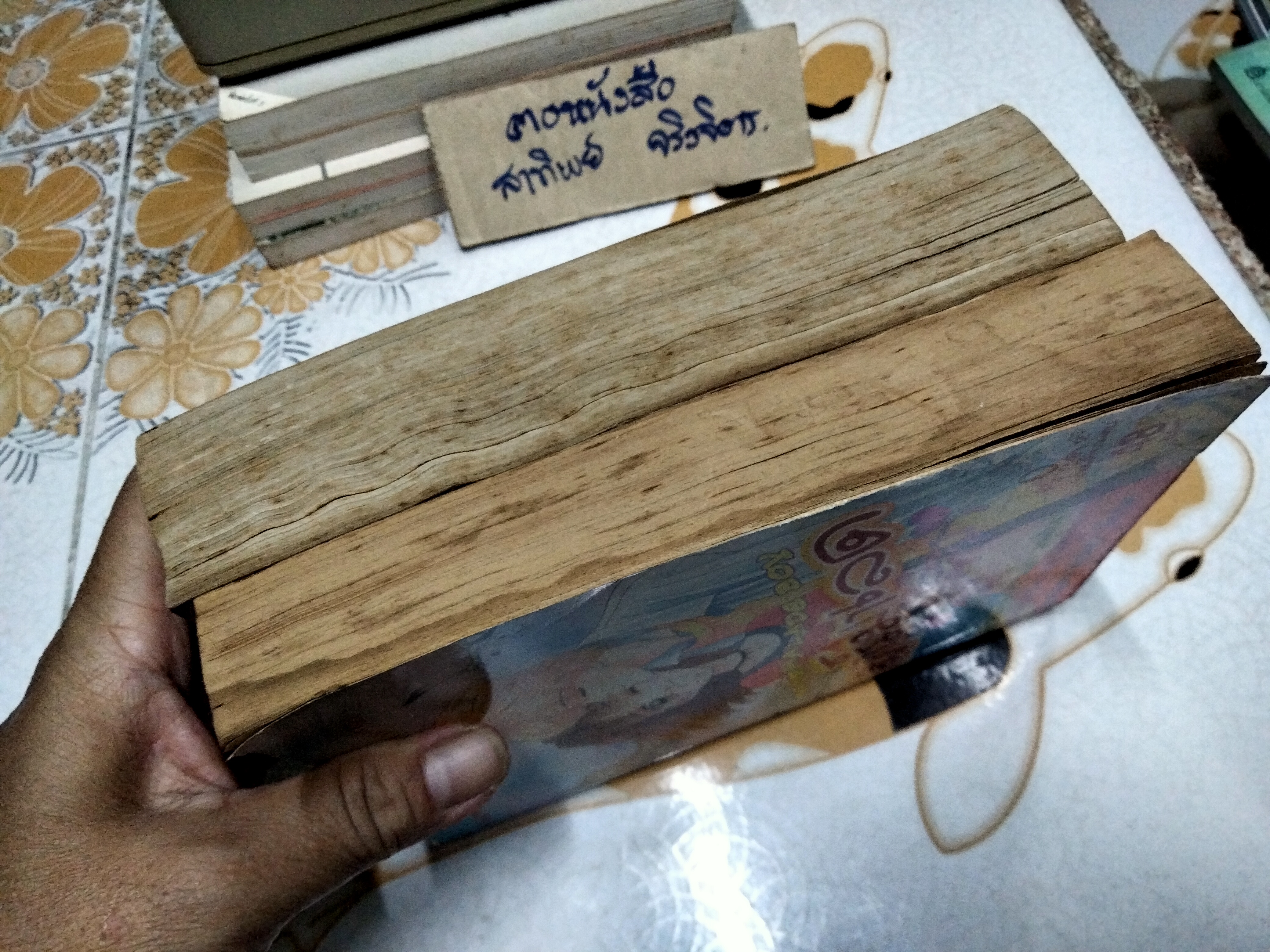 มาร์มาเลด สุดที่รัก (2 เล่มจบ) Yoshizumi Wataru