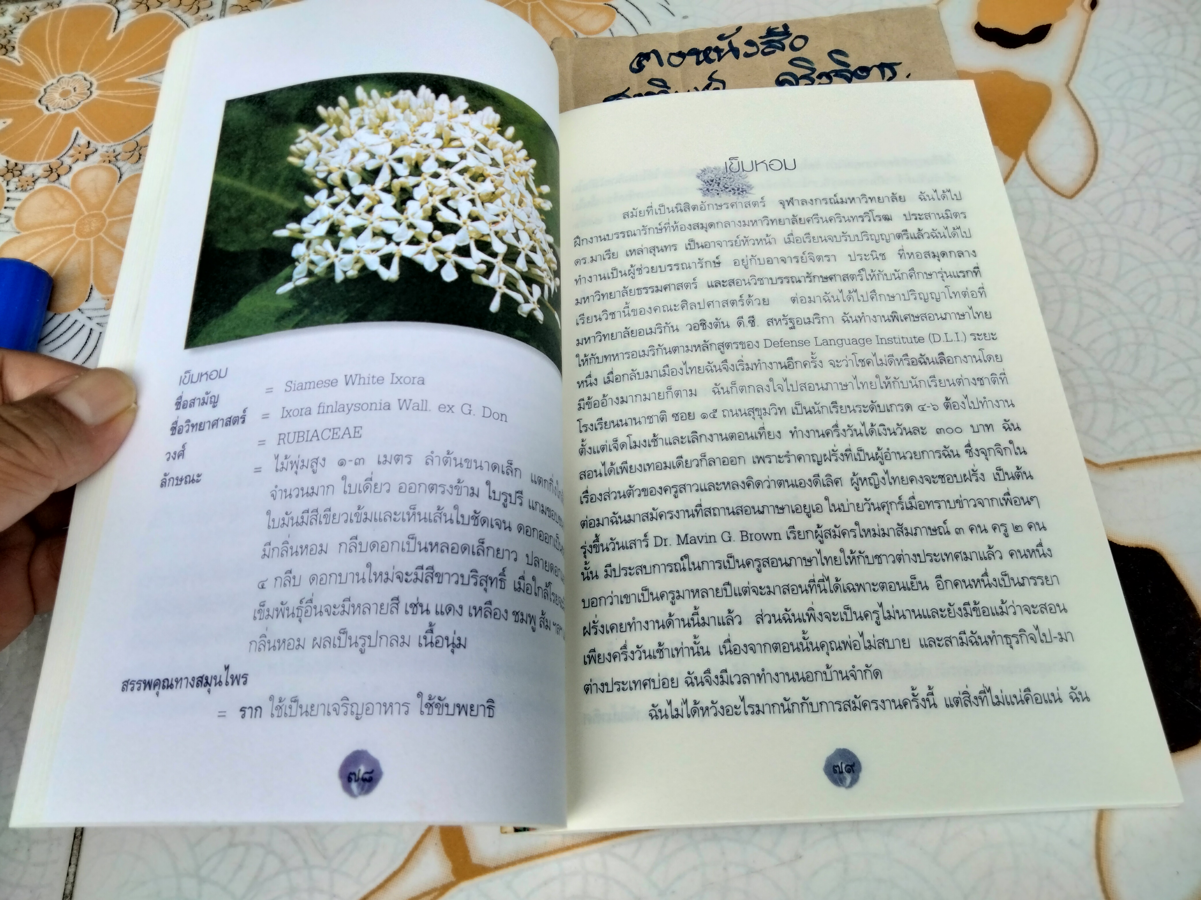 ดอกไม้ในสวน โดย เดือนฉาย คอมันตร์