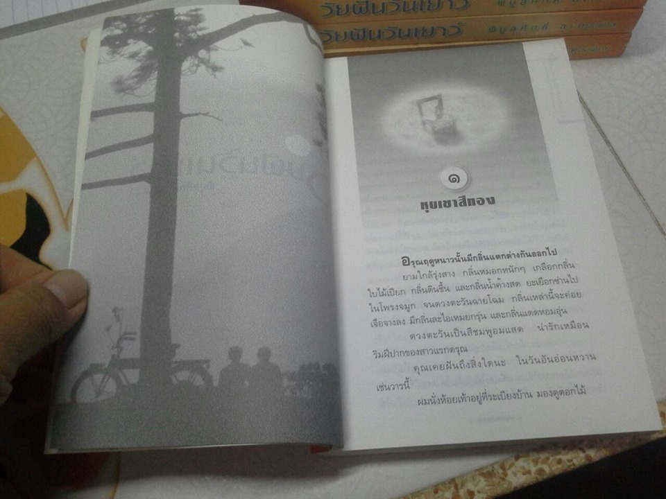 วัยฝันวันเยาว์ โดย พิบูลศักดิ์ ละครพล **สินค้าหมด**