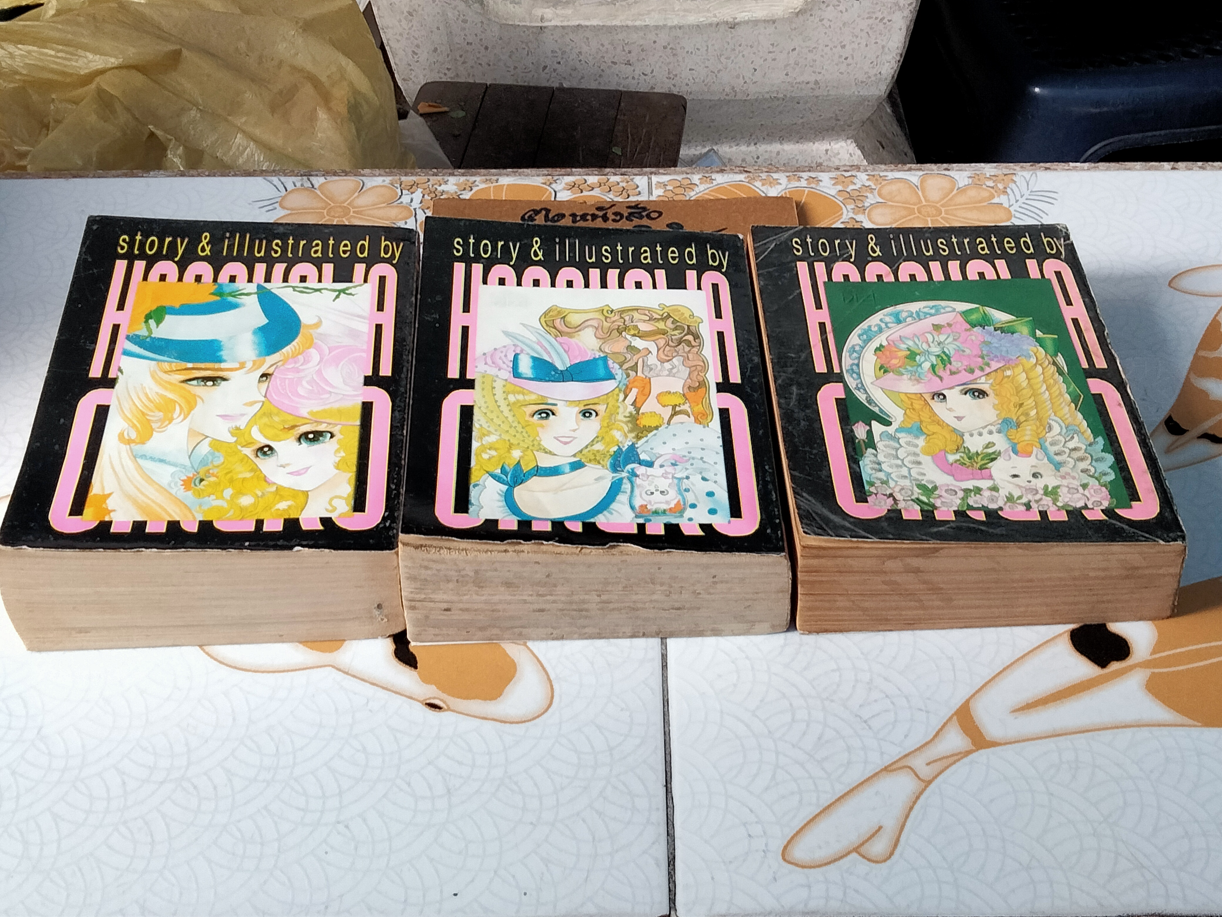 หนังสือการ์ตูน ไฟรักไฟริษยา (3 เล่มจบ) - ชิเอโกะ โฮโซกาว่า (ผู้เขียนคำสาปฟาโรห์) **สินค้าหมด**