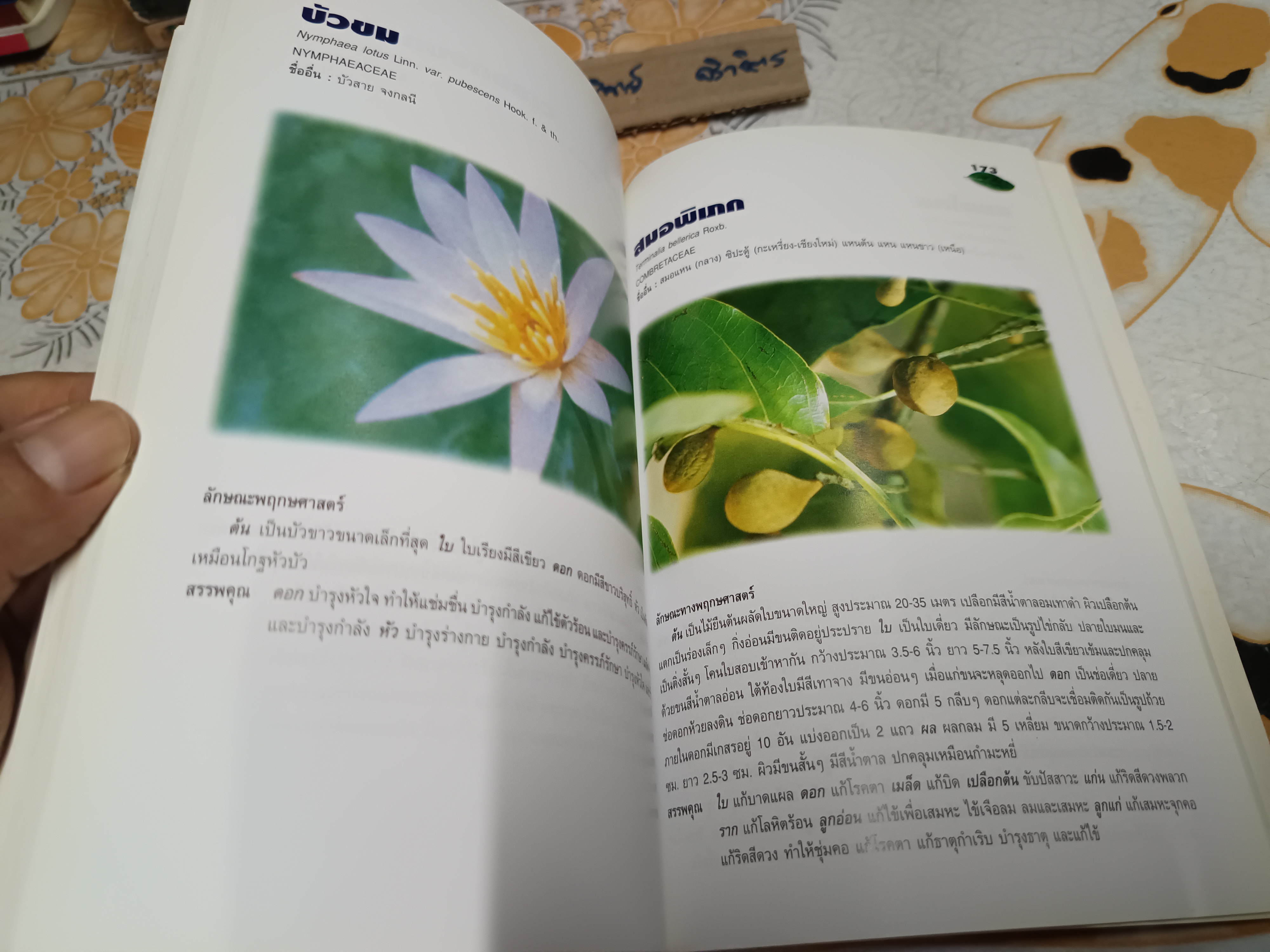 เภสัชกรรมแผนไทย จัดพิมพ์โดย ศูนย์พัฒนาตำราการแพทย์แผนไทย สถาบันส่งเสริมการแพทย์แผนไทย