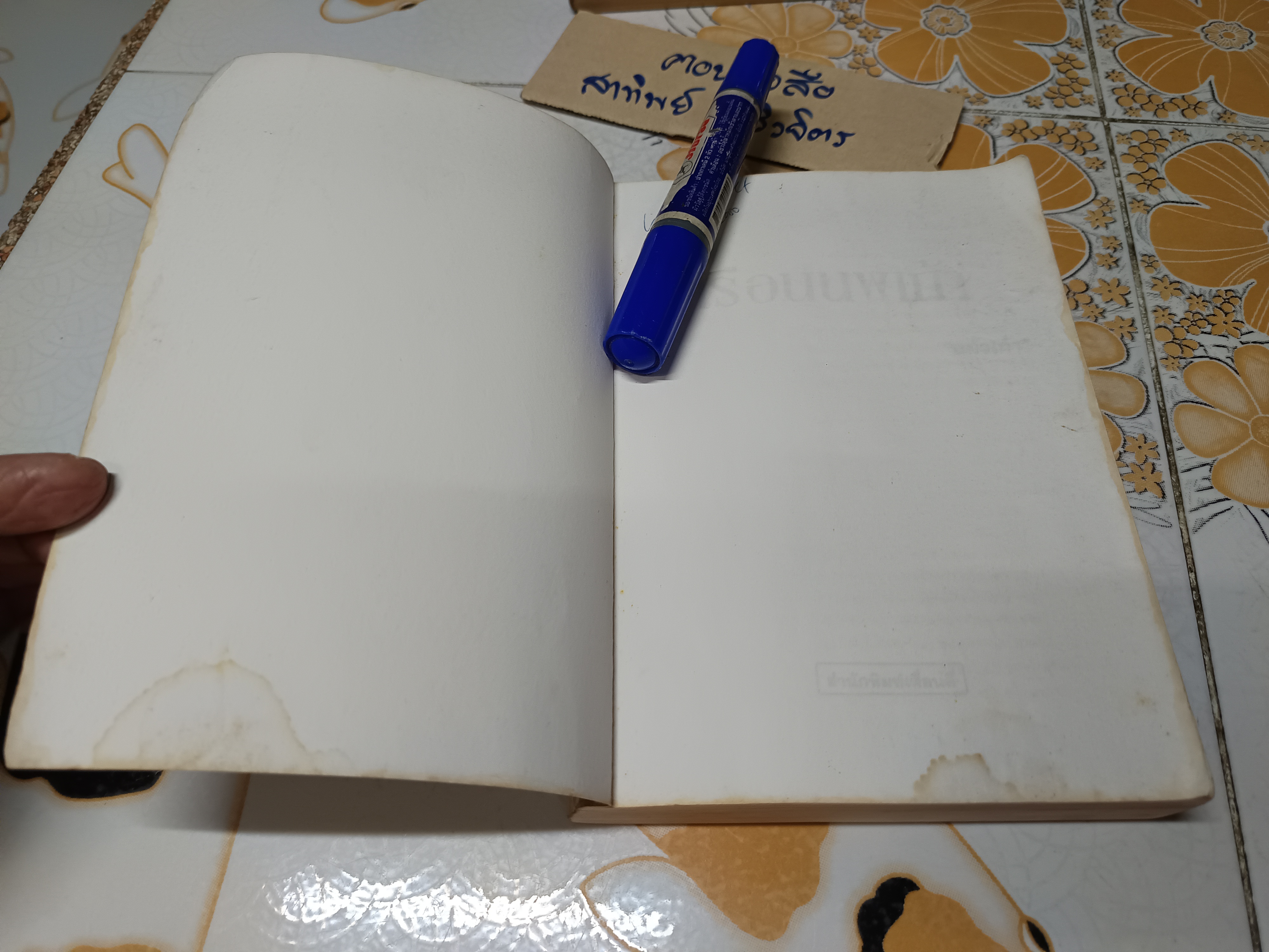 เรือนนพเก้า (เล่มเดียวจบ) โดย แก้วเก้า พิมพ์ครั้งแรกพ.ศ 2542 สำนักพิมพ์เพื่อนดี **สินค้าหมด**