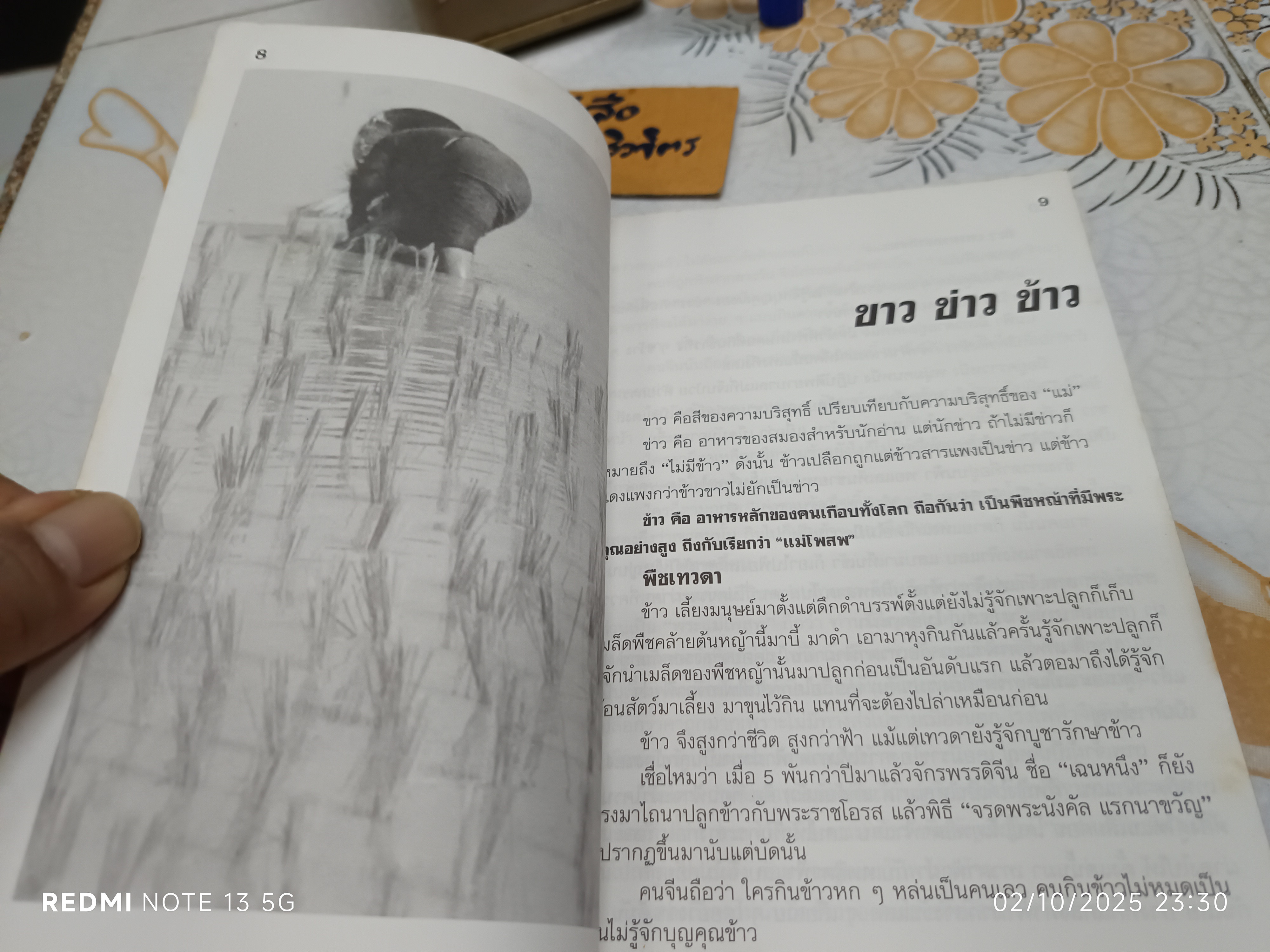 อาหารไทยสิแน่กว่าใคร โดย พลศรี คชาชีวะ