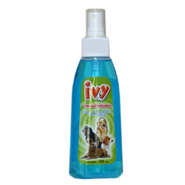 น้ำหอม ivy สีฟ้า