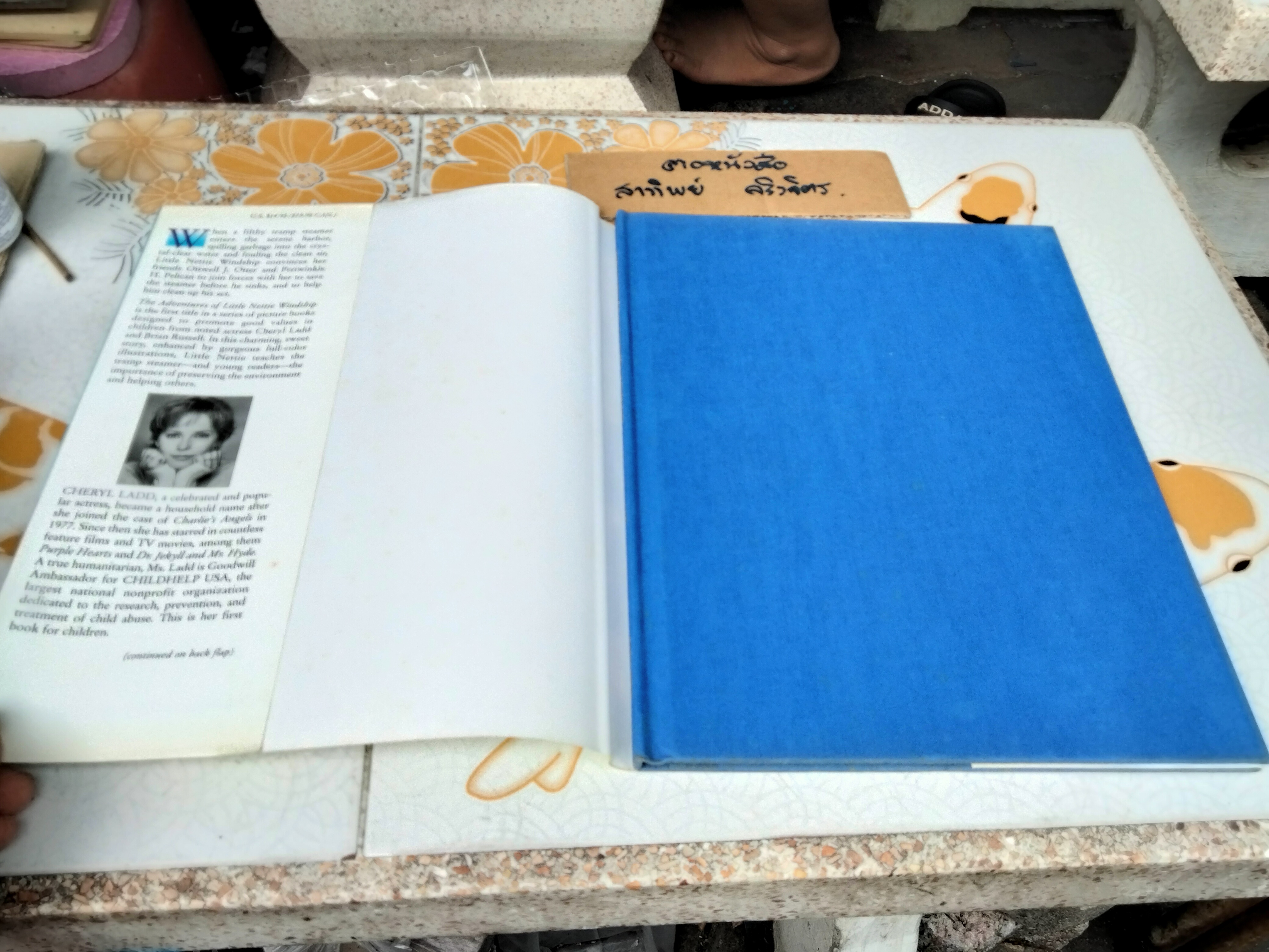 The Adventures of Little Nettie Windship by Cheryl Ladd (ปกแข็ง)