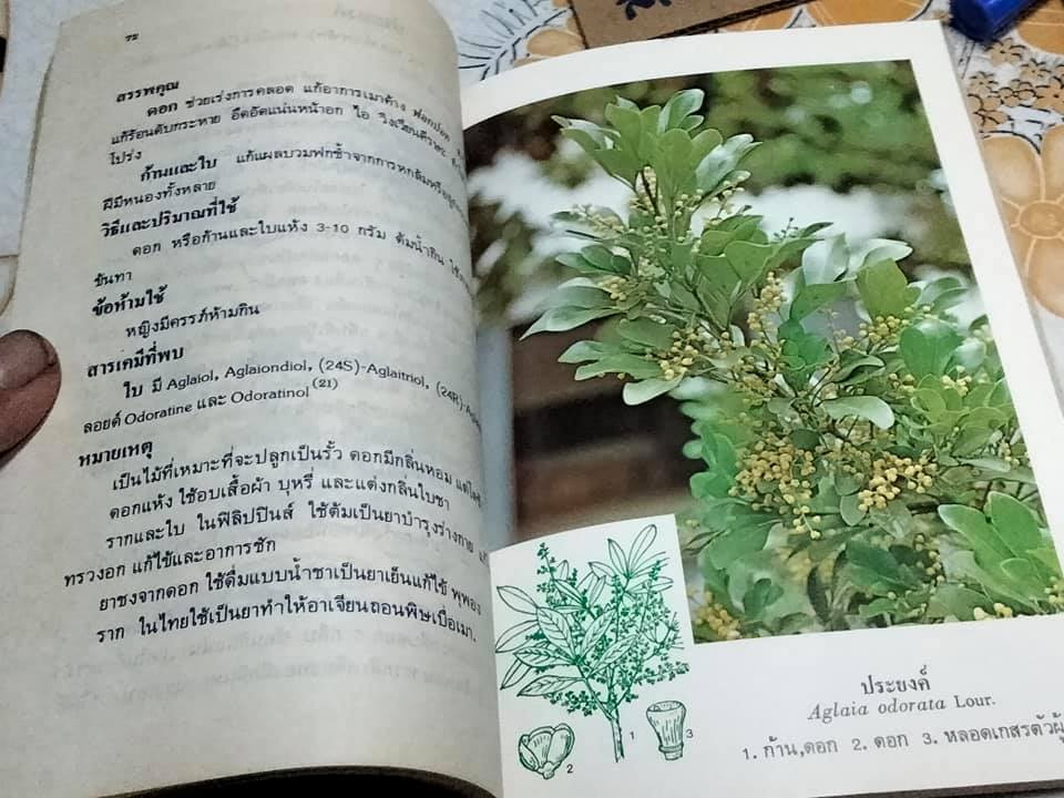 หนังสือ การใช้สมุนไพรเล่ม (1 + 2) โครงการพัฒนาเทคนิคการทำยาสมุนไพร **สินค้าหมด**