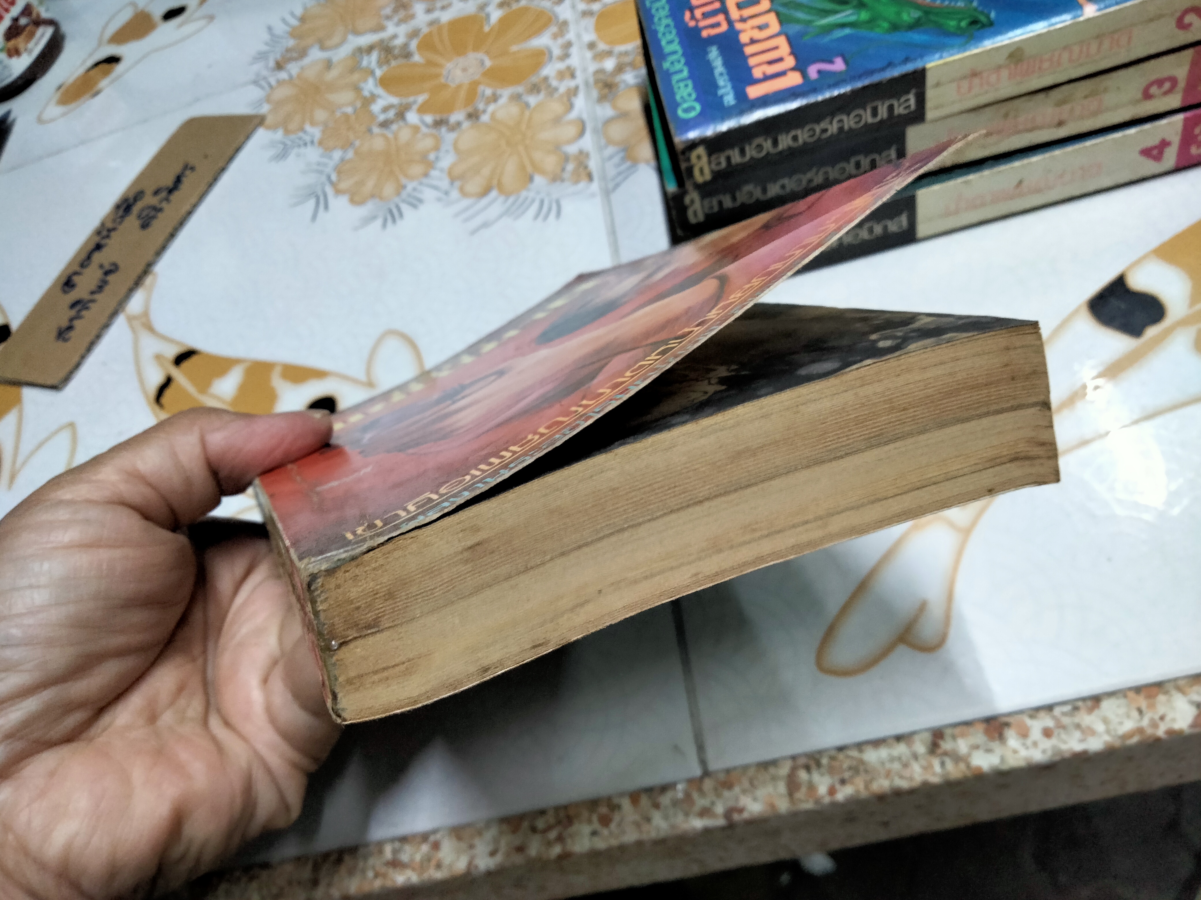 น้ำตาเพชฌฆาต (4 เล่มจบ) อิคาเงมิ เรียวอิจิ... สนพ.สยามอินเตอร์คอมิกส์