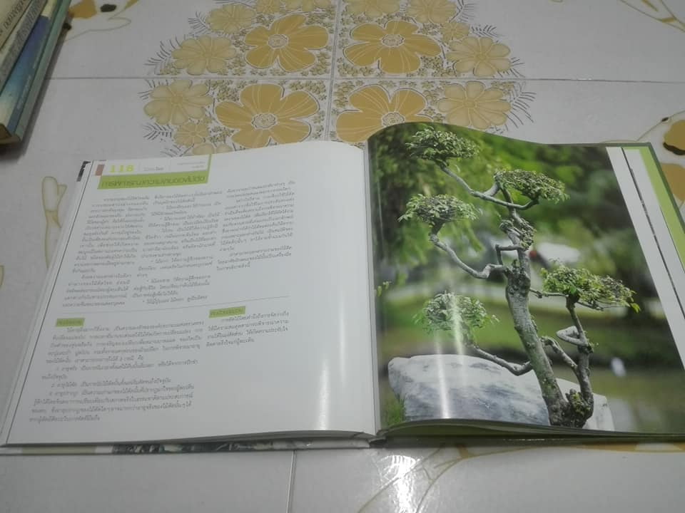 ไม้ดัดไทย (ปกแข็ง) โดย บัญชา เขมธร - ภูวดล น้ำดอกไม้ **สินค้าหมด**