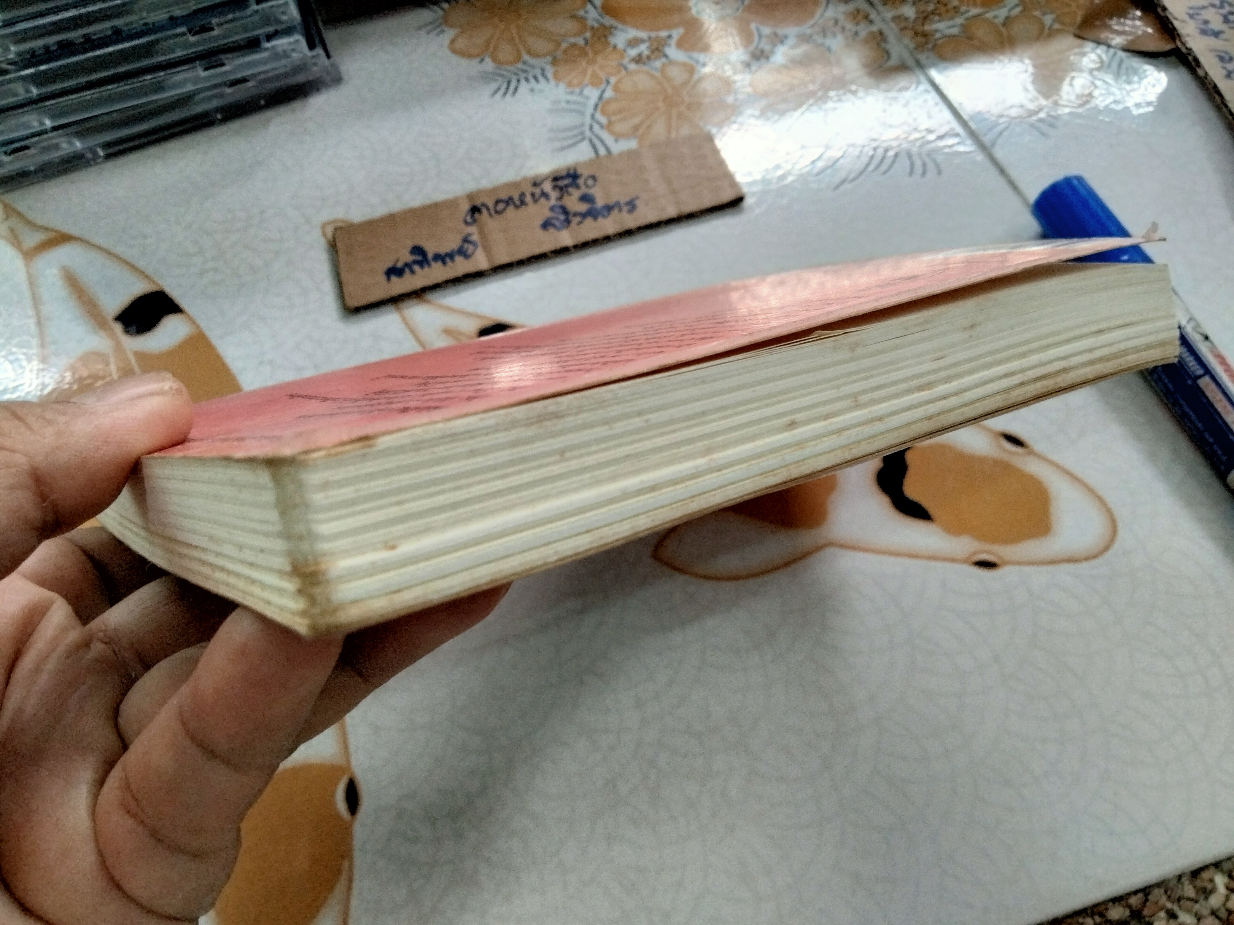 โต๊ะโตะจัง เด็กหญิงข้างหน้าต่าง Kuroyanagi Tetsuko (คุโรยานางิ เท็ตสึโกะ) ผุสดี นาวาวิจิต แปล พิมพ์ 2549 **สินค้าหมด**