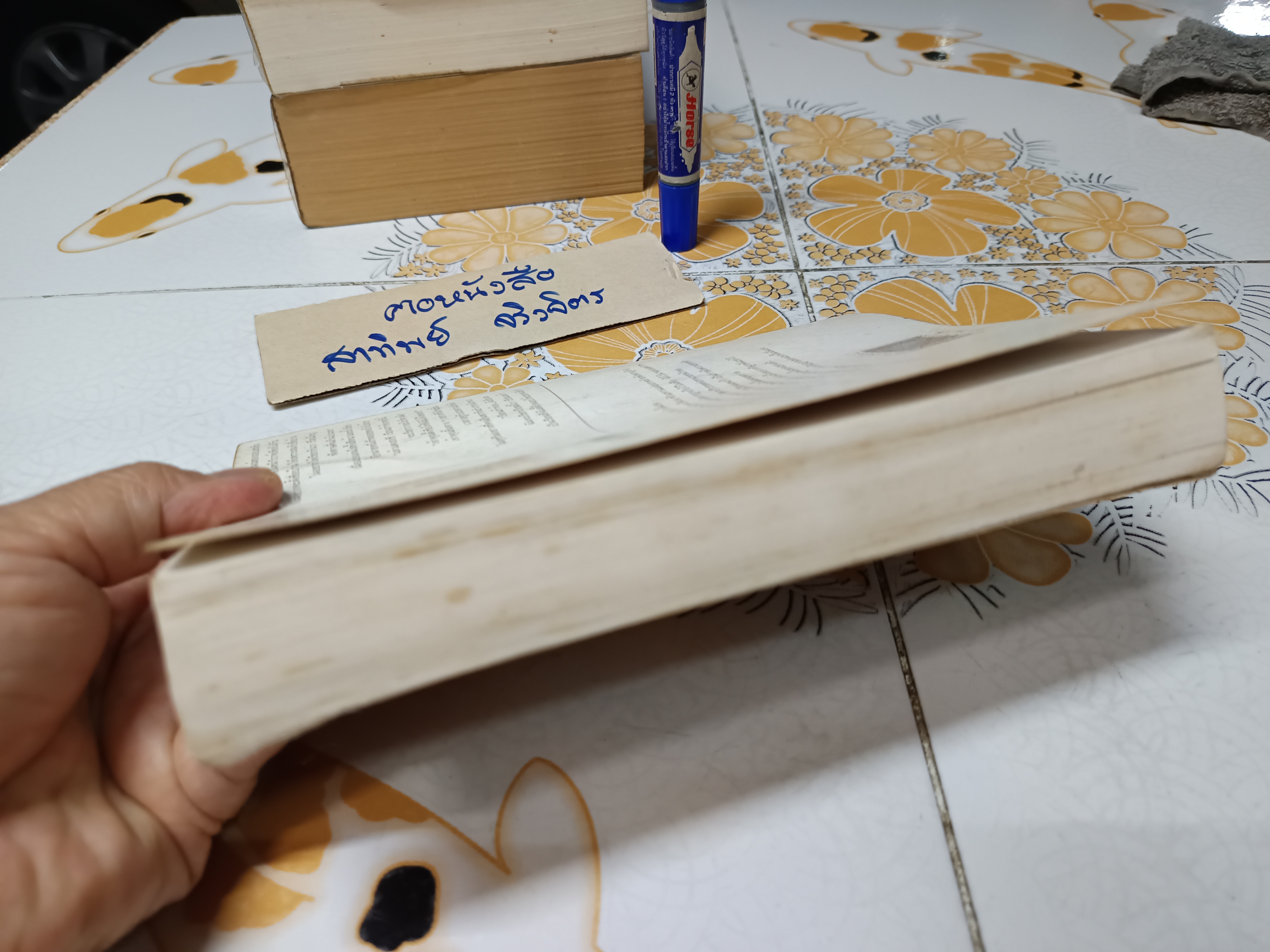 เรือนนพเก้า (เล่มเดียวจบ) โดย แก้วเก้า พิมพ์ครั้งแรกพ.ศ 2542 สำนักพิมพ์เพื่อนดี **สินค้าหมด**