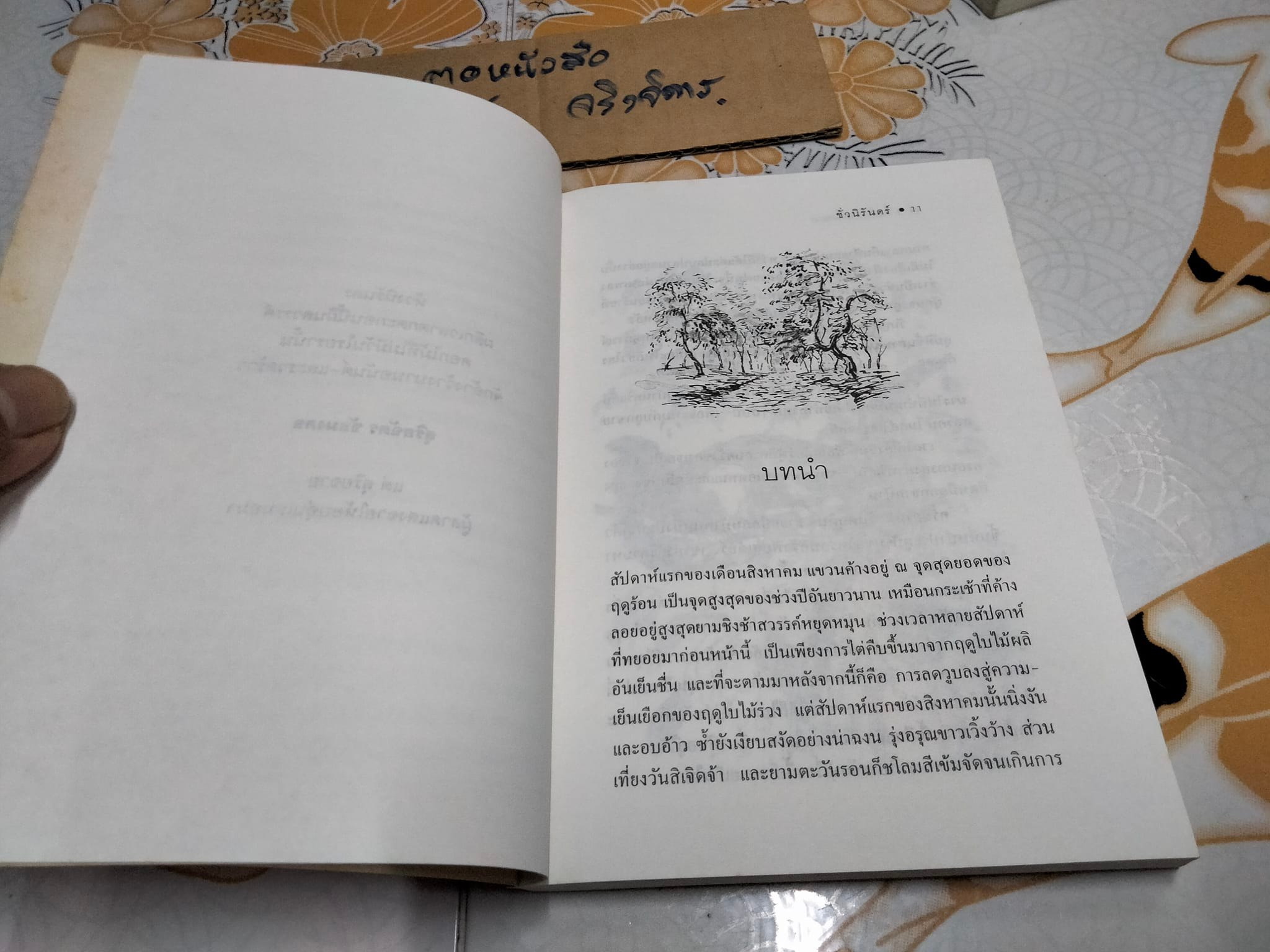 ชั่วนิรันดร์ (พิมพ์ครั้งแรก พ.ย.2539) สุริยฉัตร ชัยมงคล แปลจาก Tuck Everlasting ของ นาตาลี แบ๊บบิตต์