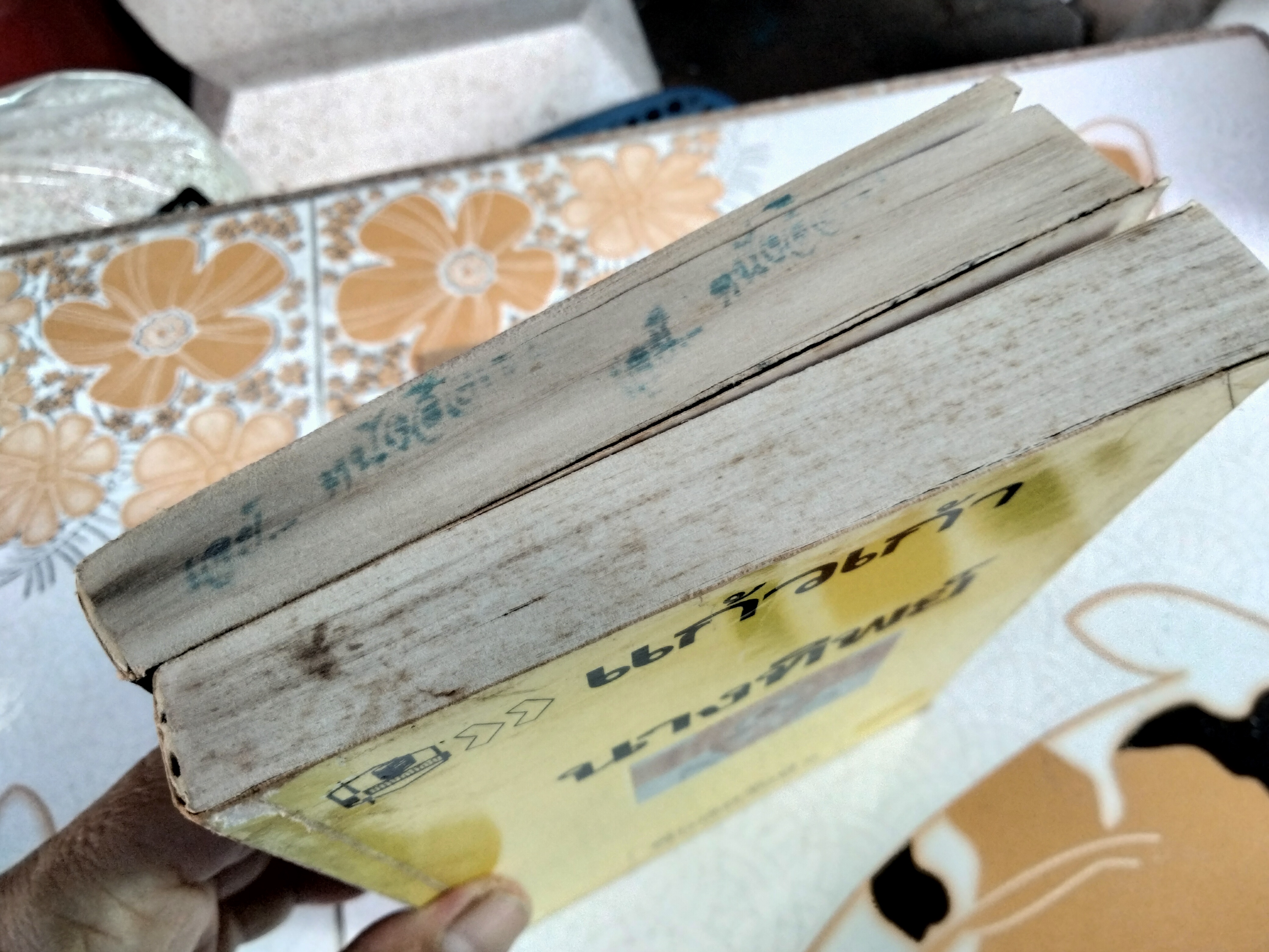 นางทิพย์ (2 เล่มจบ) แก้วเก้า (เช่า+บ้าน) **สินค้าหมด**