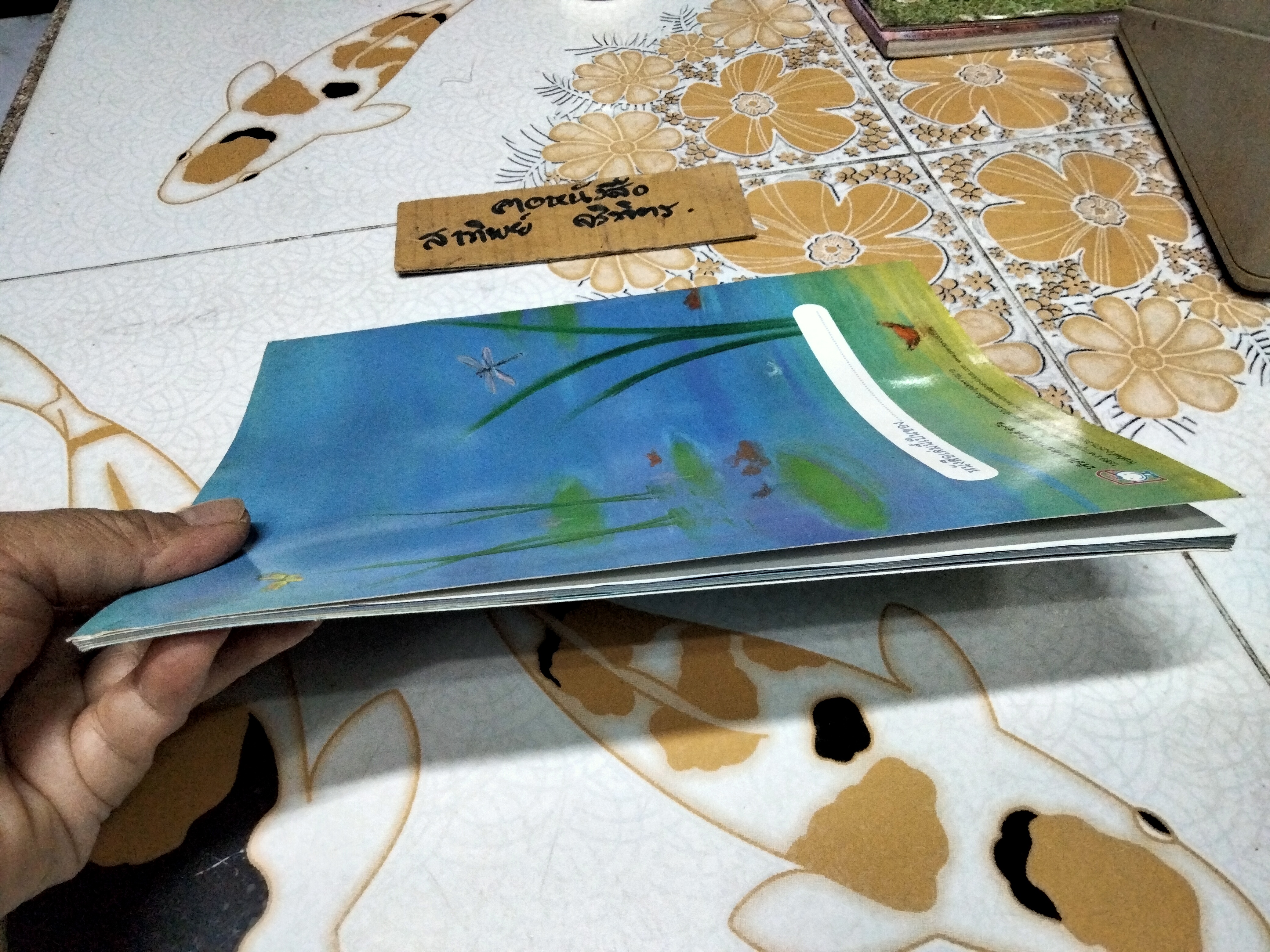 ห่านน้อยลูซี่ - มาร์กาเรต ไวลด์ เขียน ภาพโดย แอนน์ เจมส์ , น้านกฮูก แปล