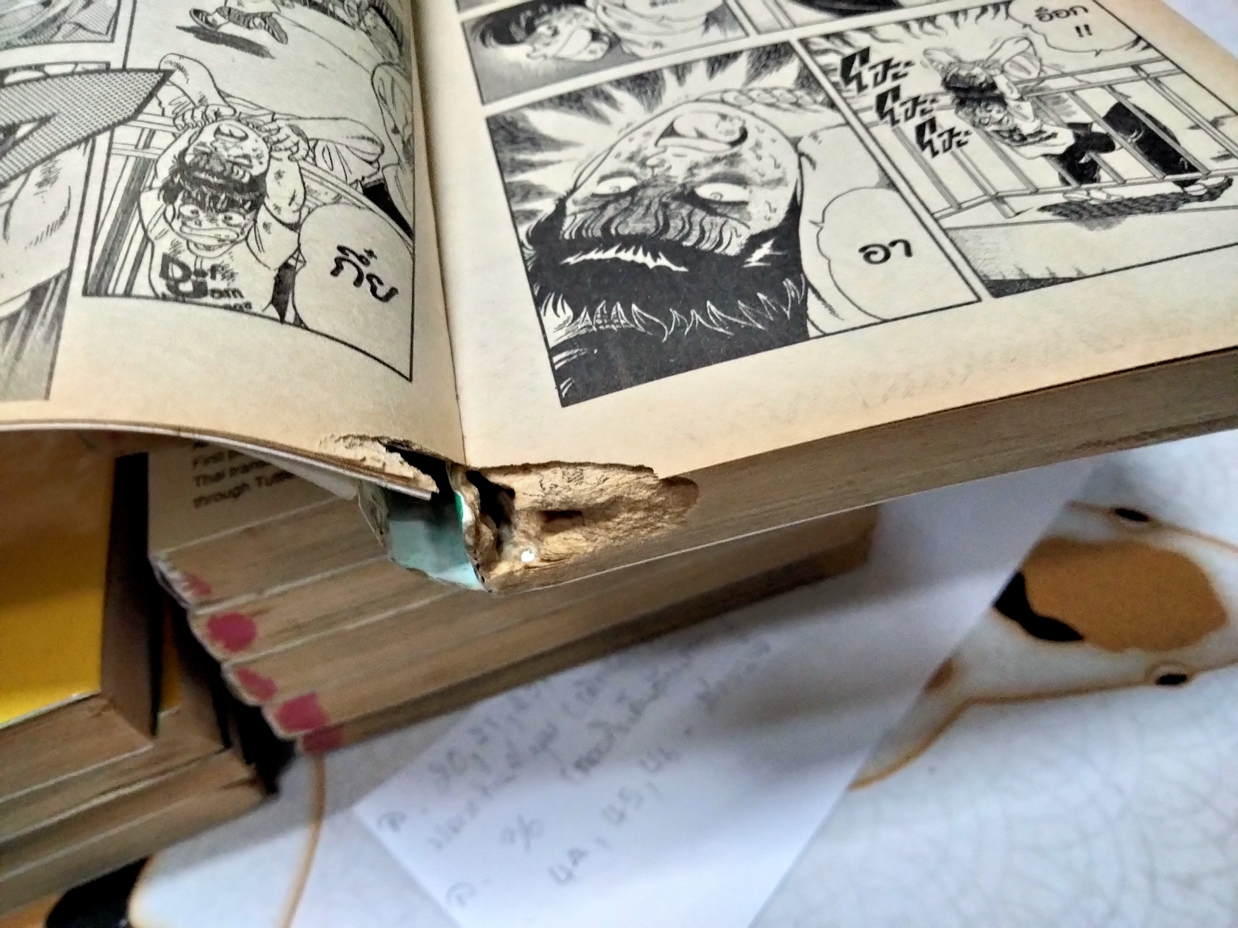 อิตโต้ นักเตะเลือดกังฟู (ภาค 1 - 2) + ภาคพิเศษ 1 เล่ม **หนังสือบ้านสะสม + มีรอยปลวกกินที่มุม ,มีคราบน้ำ