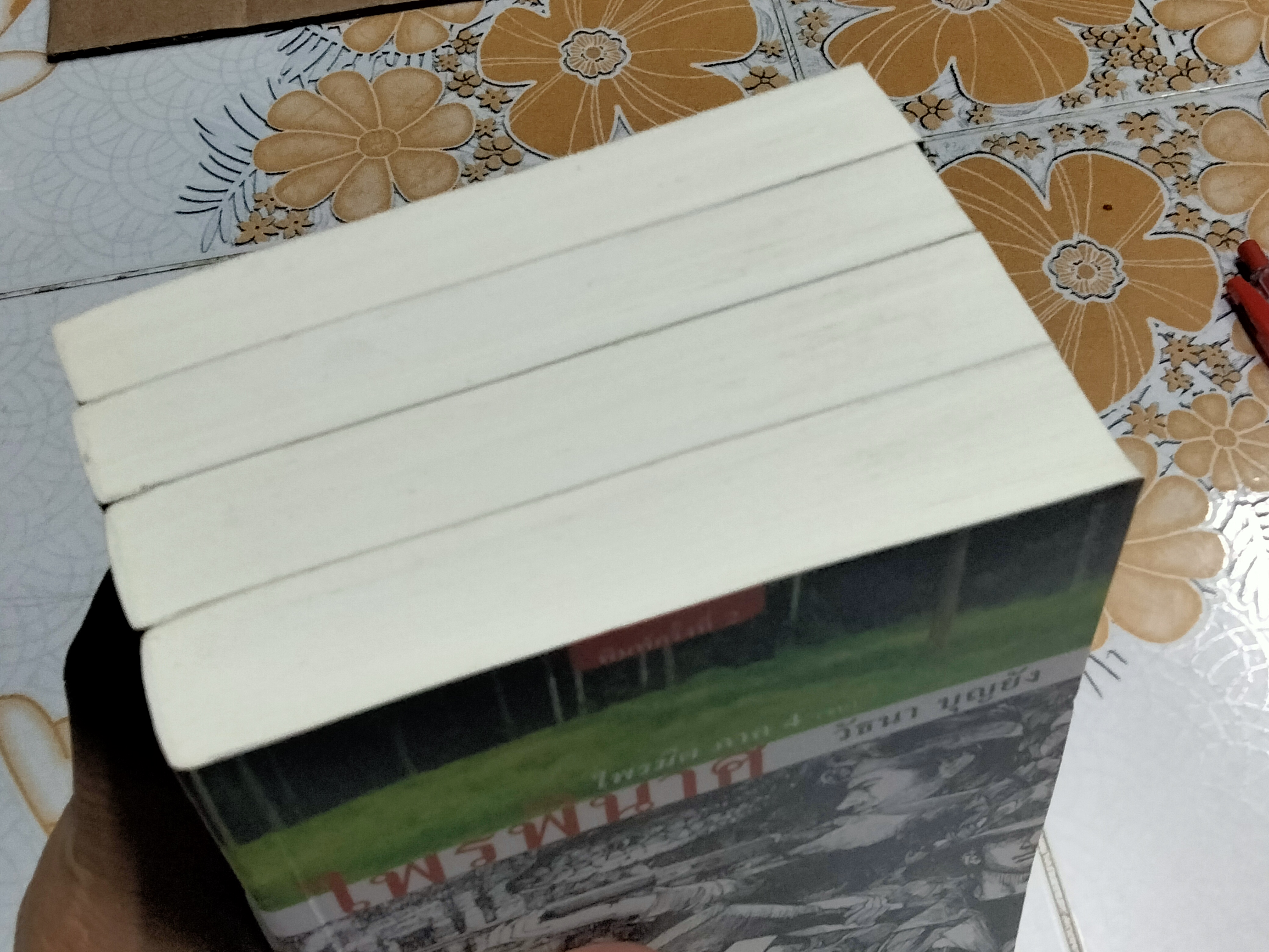 หนังสือชุดไพรมืด (4 เล่มครบชุด) - วัธนา บุญยัง **สินค้าหมด**