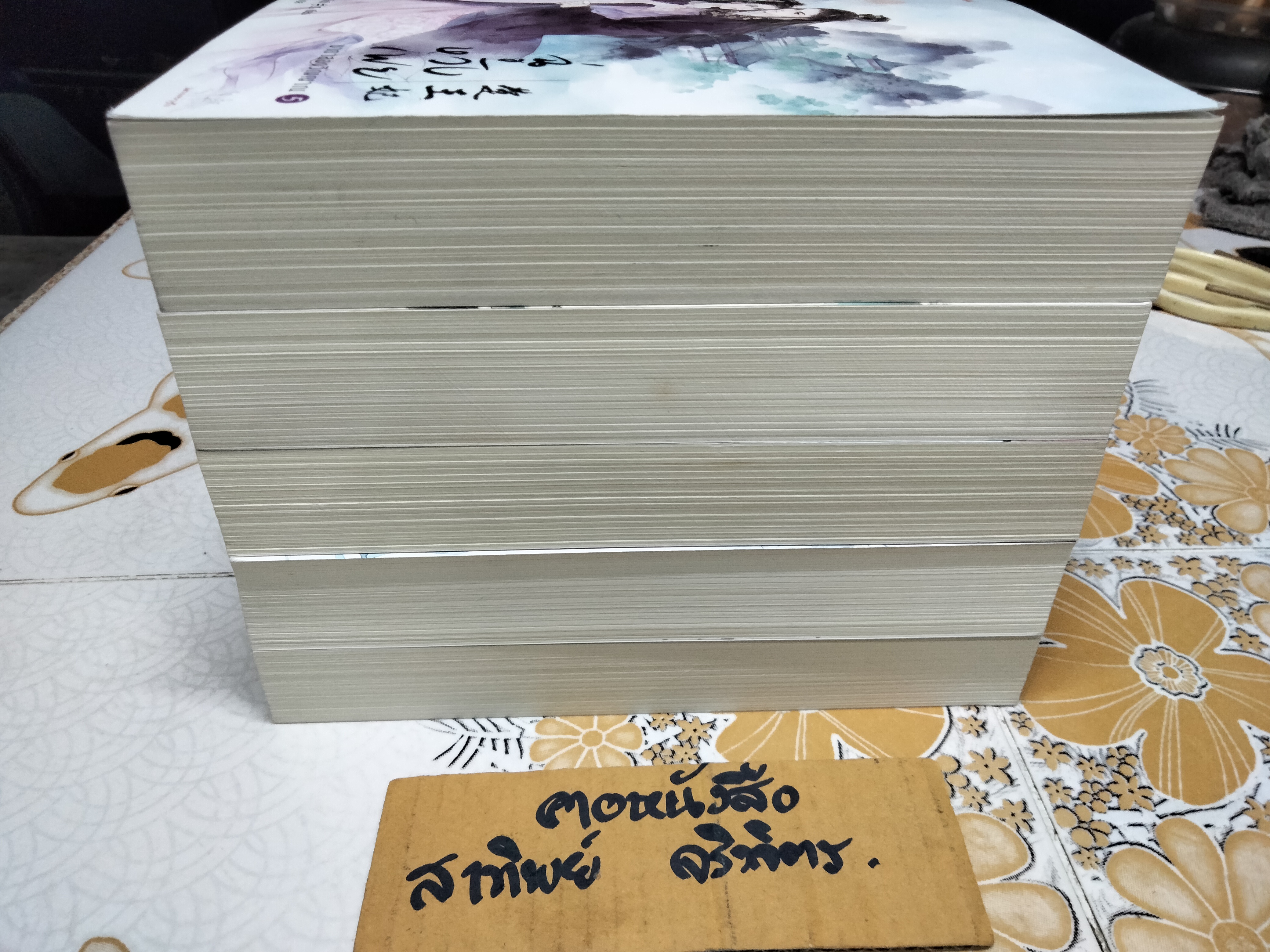 ฉู่หวังเฟย ชายาสองวิญญาณ (5 เล่มจบ) โดย หนิงเอ๋อร์ - เฉินซี แปล ** มีที่คั่นหนังสือทุกเล่ม