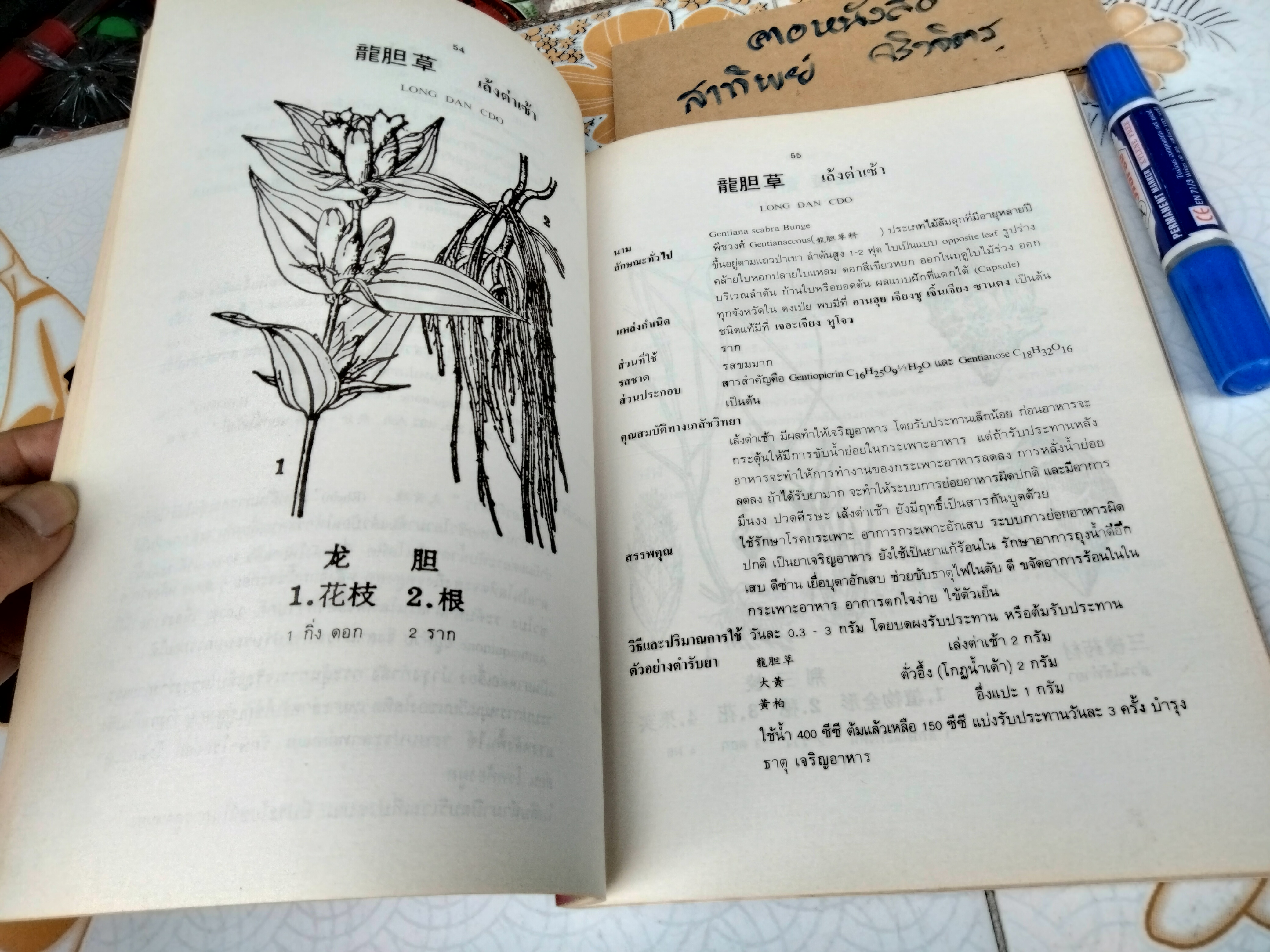 สมุนไพรจีน - รวบรวมเรียบเรียงและจัดพิมพ์ โดย นายเจนกิจ เวชพงศา **สินค้าหมด**